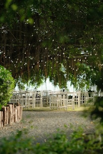 A serene outdoor setting featuring rows of white chairs and tables arranged under a dense canopy of lush greenery. Delicate string lights hang overhead, creating a whimsical atmosphere. The ground is a mix of gravel and grass, bordered by a rustic row of wooden logs.