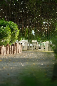 Chairs and tables are set up outdoors under a canopy of green leaves and hanging lights, creating a serene and inviting atmosphere. The area is bordered by wooden logs and greenery, and the ground is composed of small gravel.