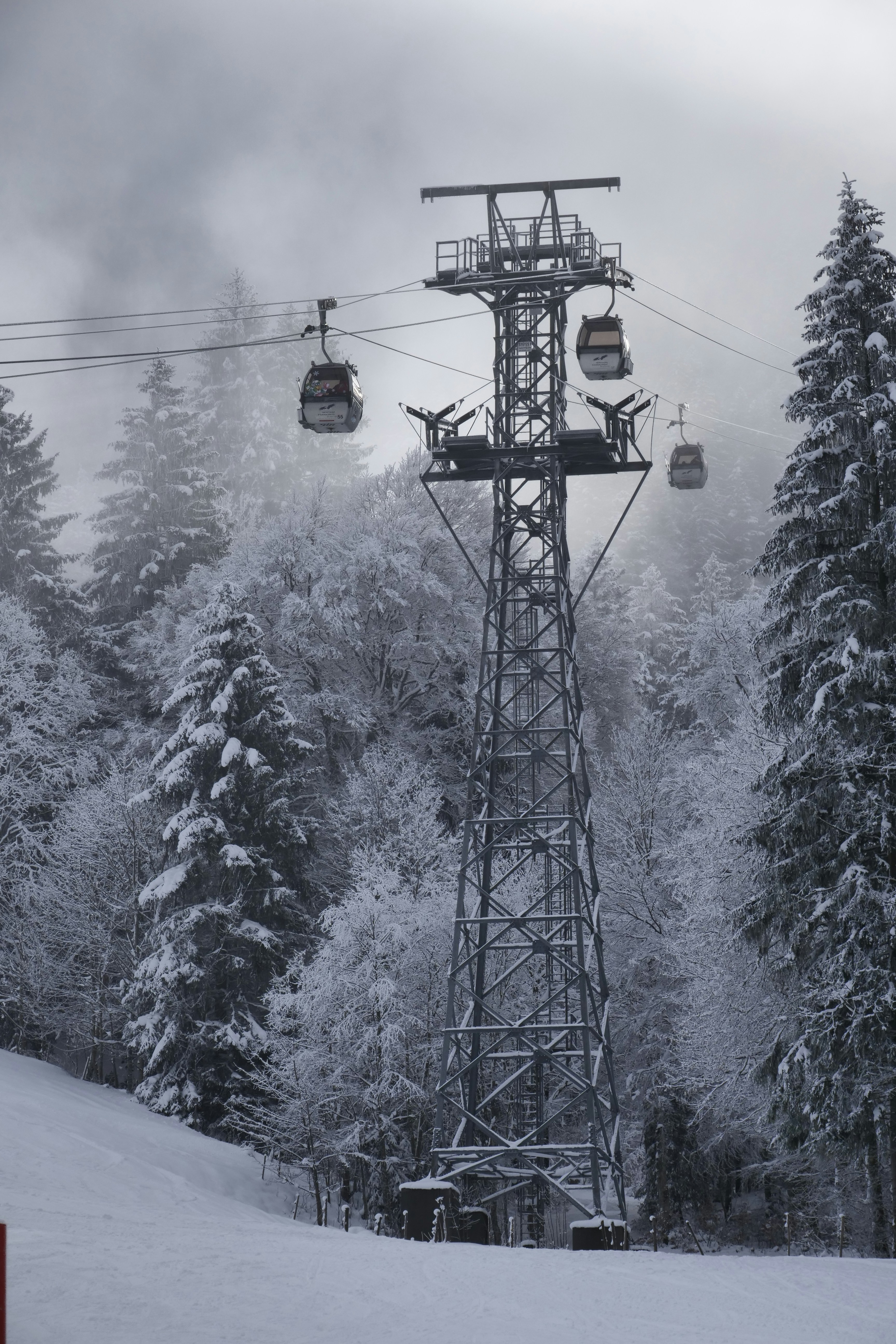 Photo by sailing_markus