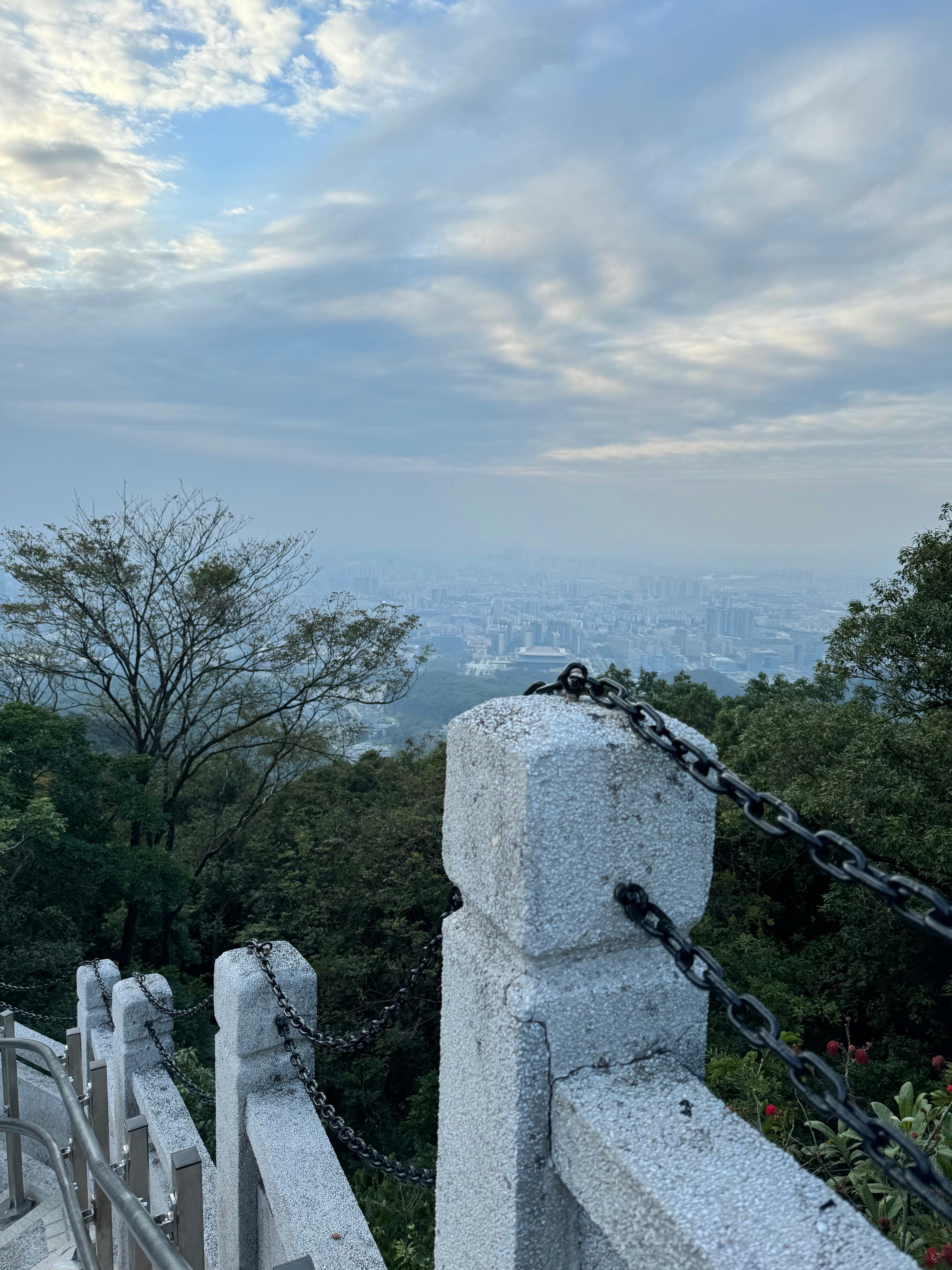 a view of the city from the top of a hill
