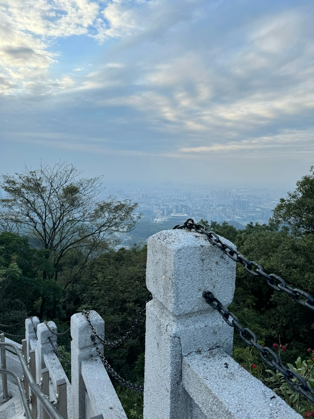 a view of the city from the top of a hill