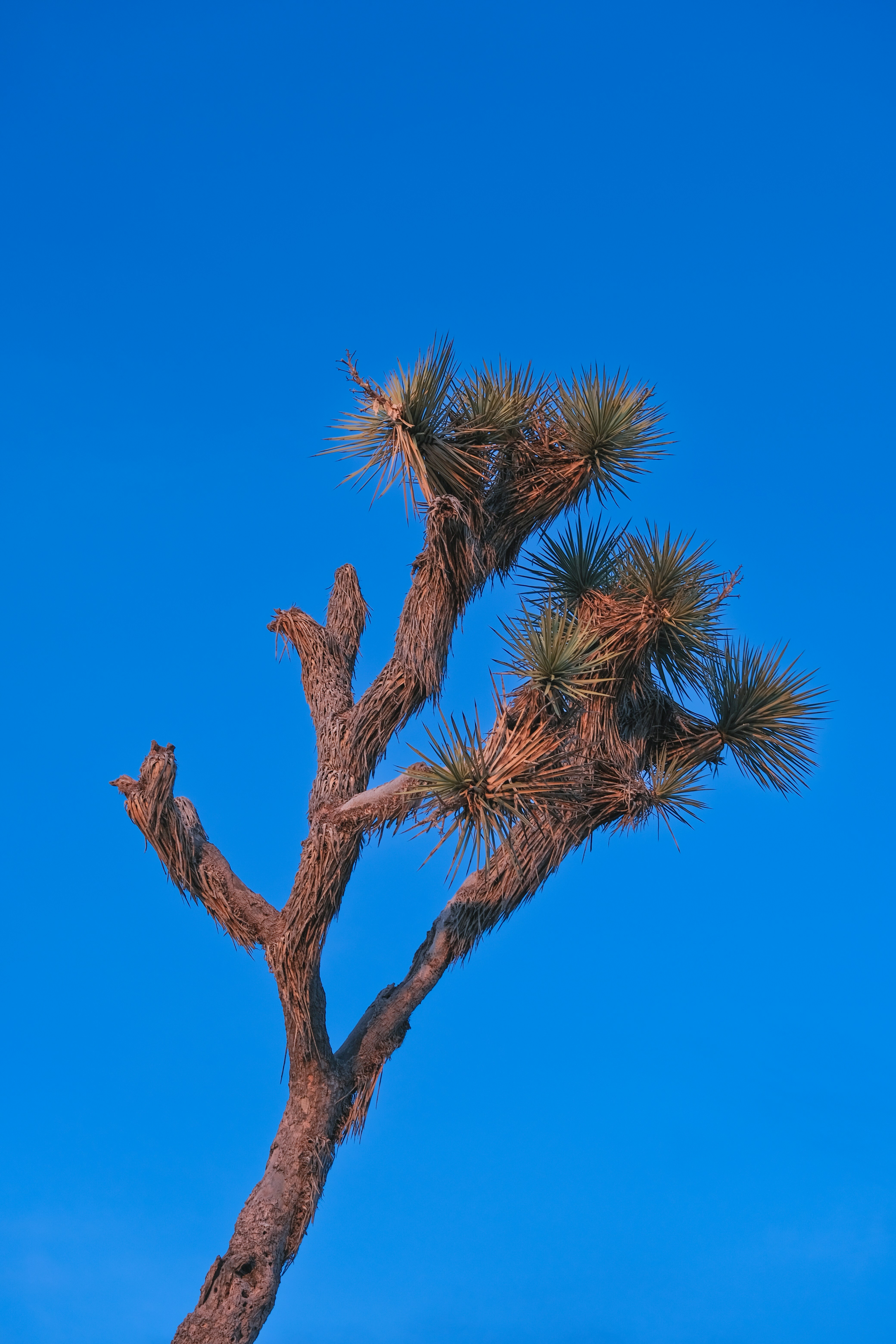 Photo by cestmoisheedy