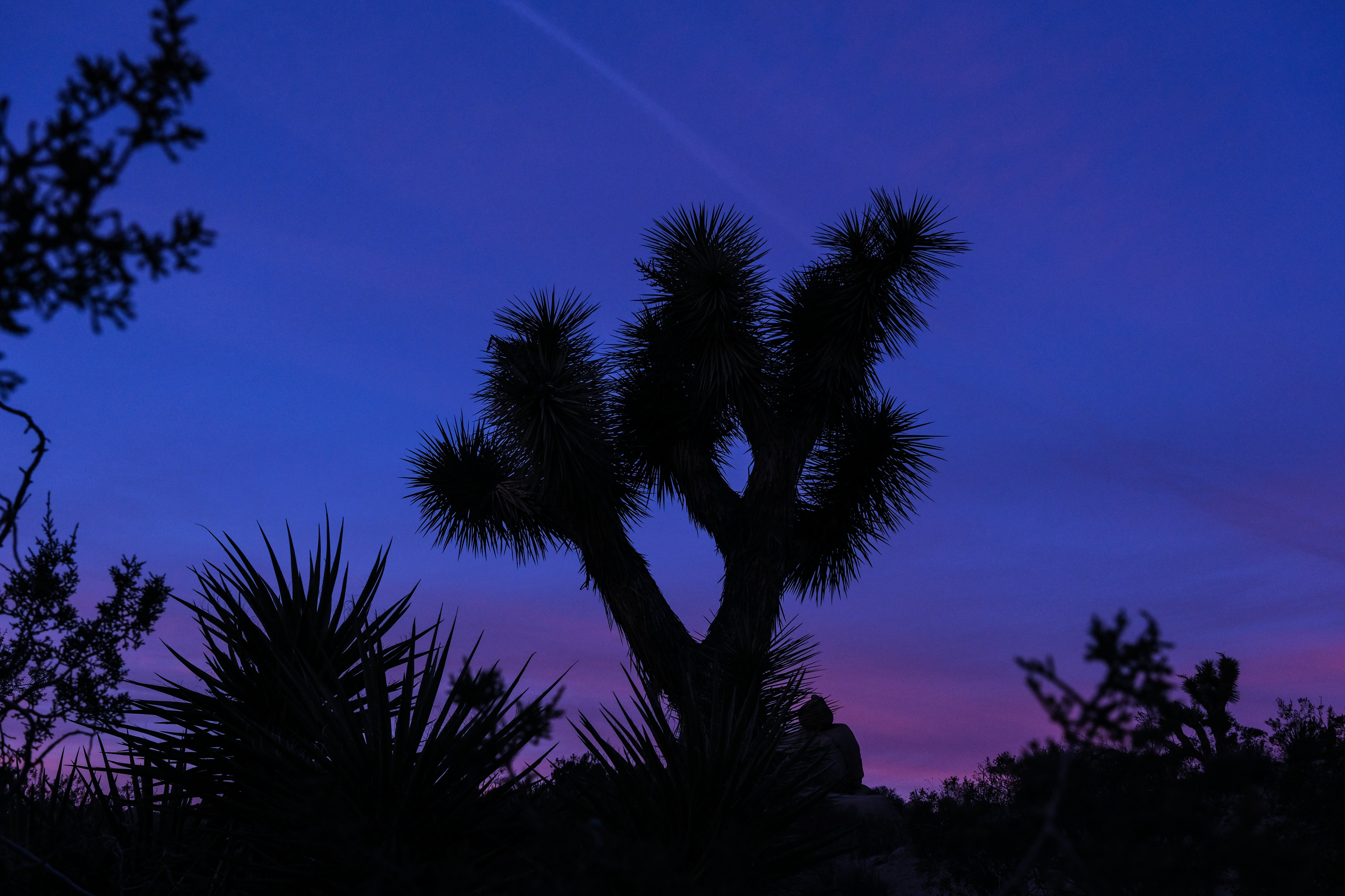 Photo by cestmoisheedy