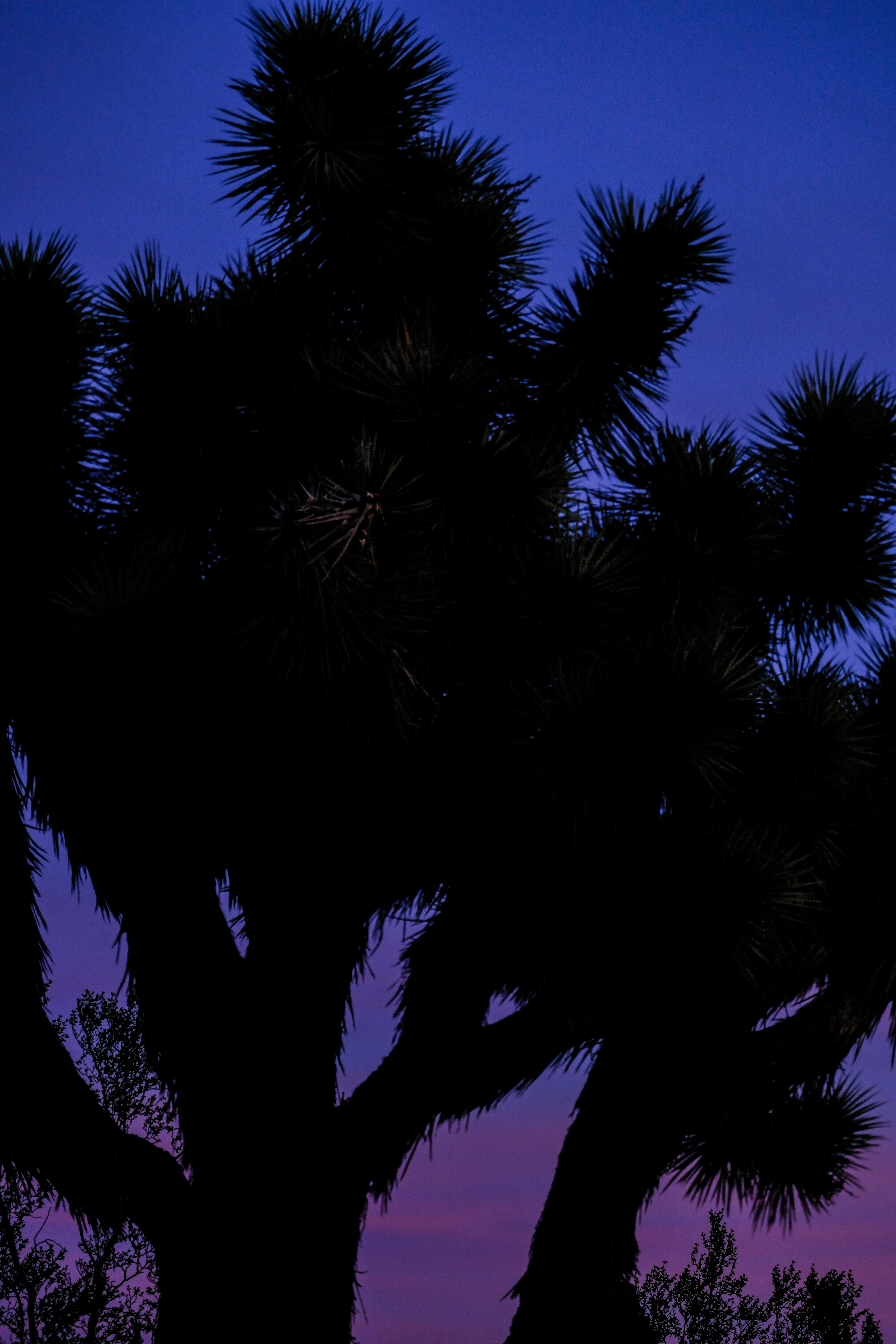 Photo by cestmoisheedy