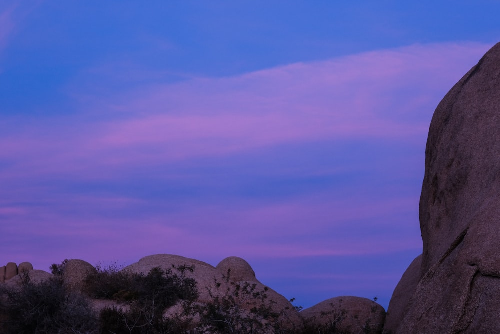 a purple sky and some rocks and bushes