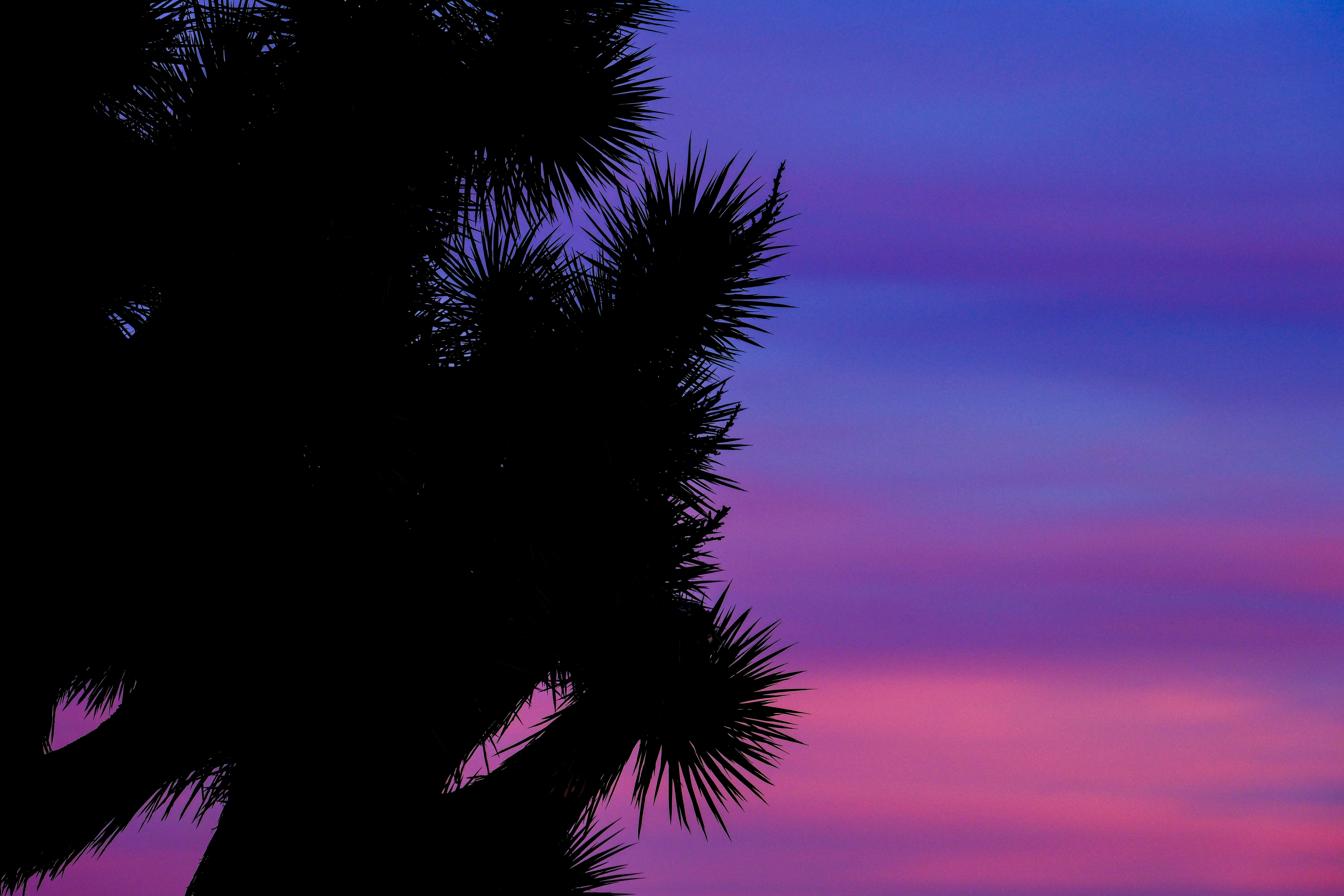 Photo by cestmoisheedy