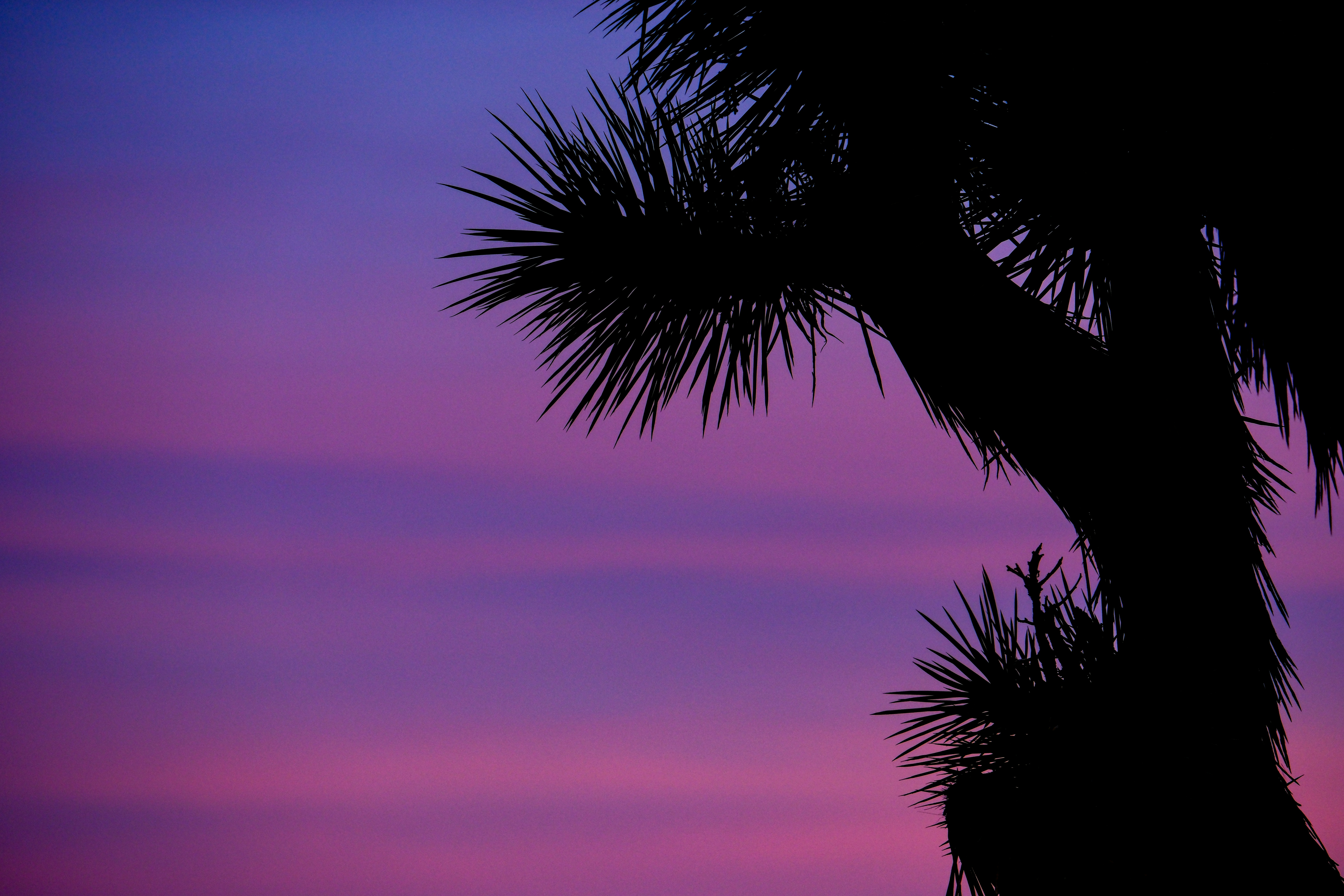 Photo by cestmoisheedy