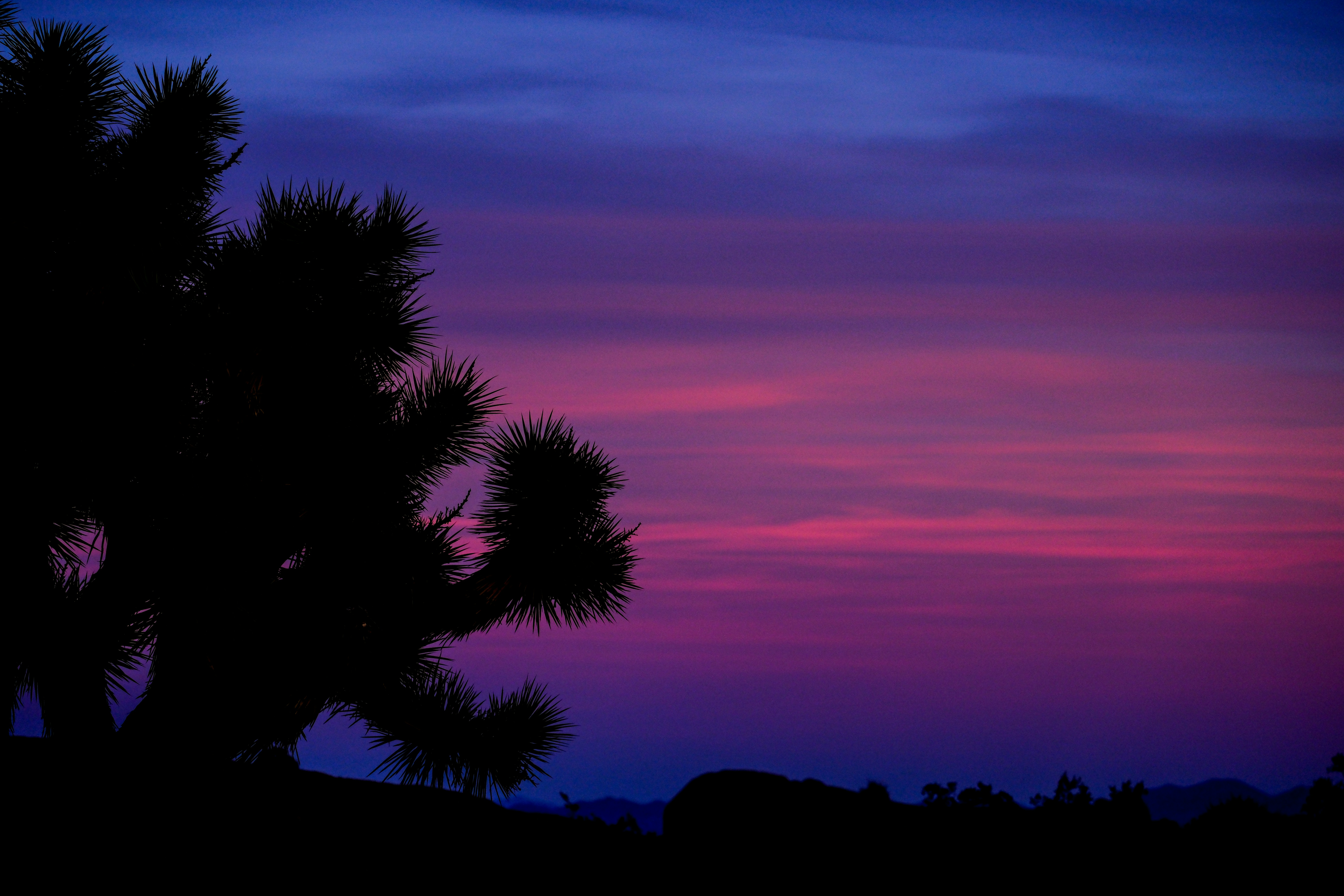 Photo by cestmoisheedy