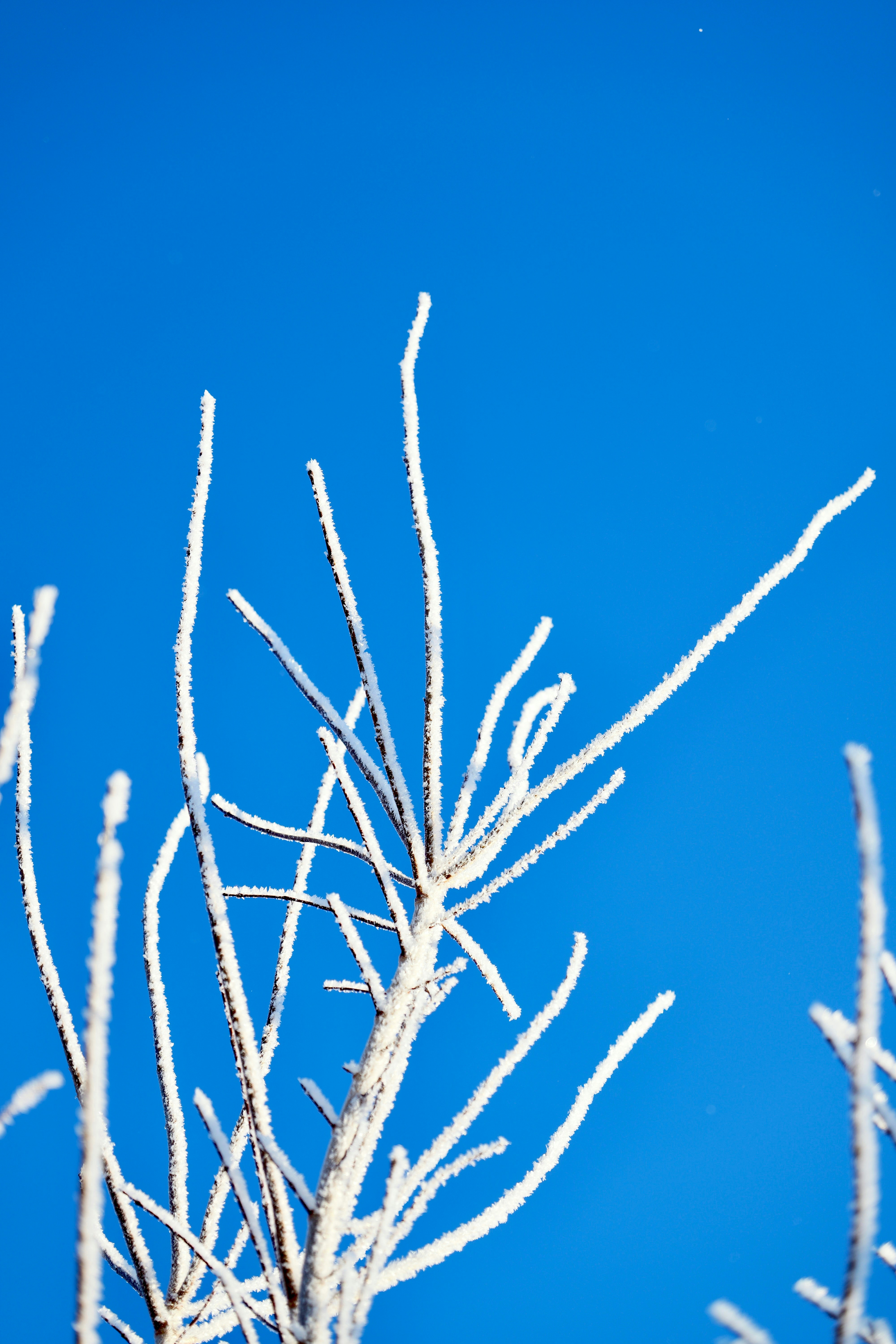 Photo by carter_obasohan