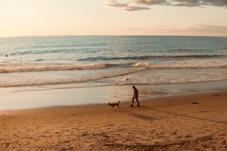 a person walking a dog on a beach