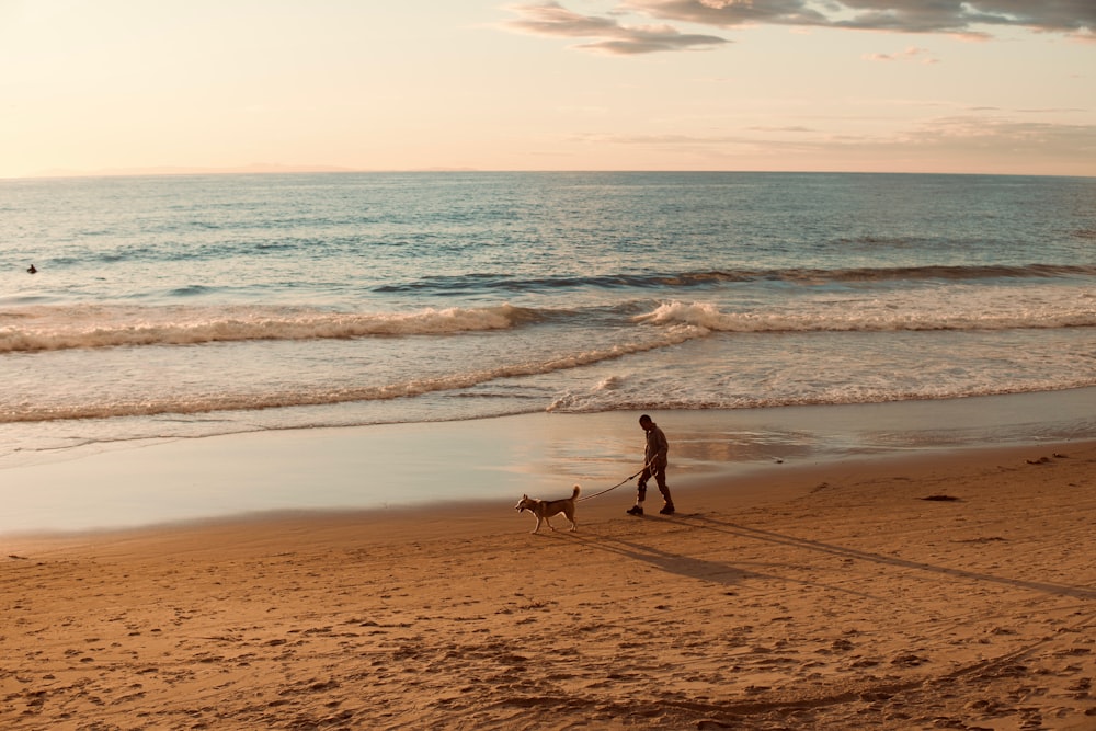 a person walking a dog on a beach