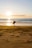 Smiling surfer holding a new surfboard on the beach at sunset