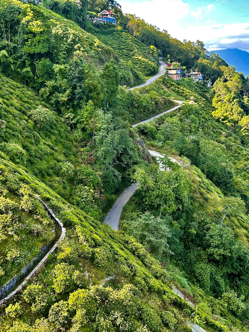 a winding road in the middle of a lush green hillside