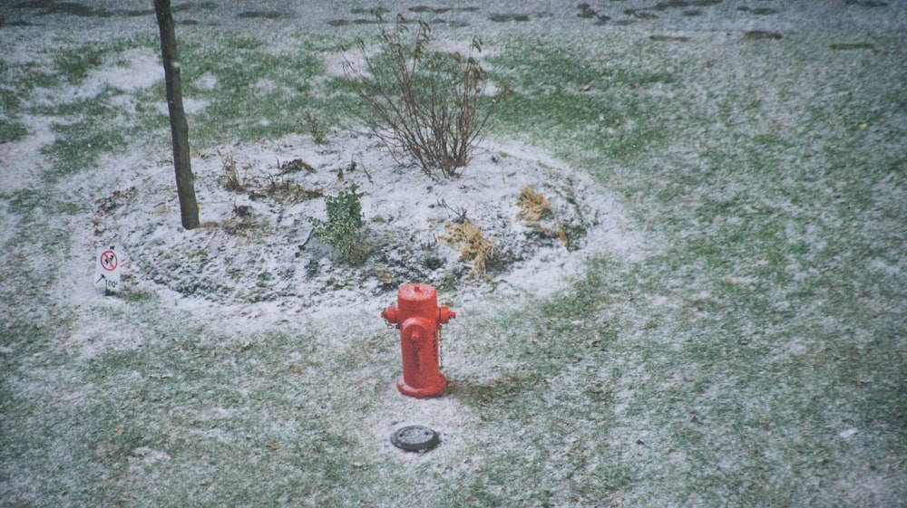 a red fire hydrant sitting in the middle of a snow covered field