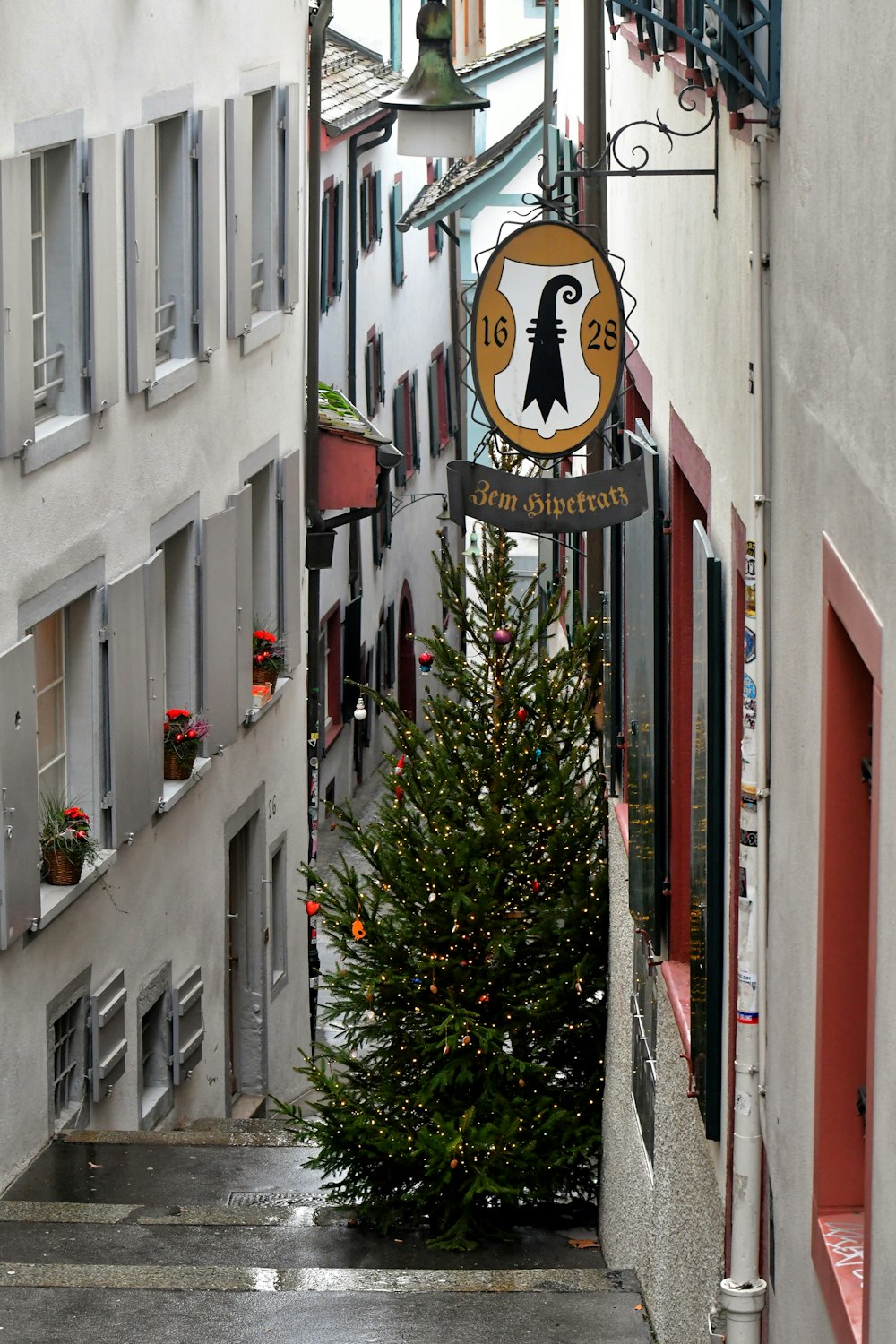 a street with a christmas tree in the middle of it