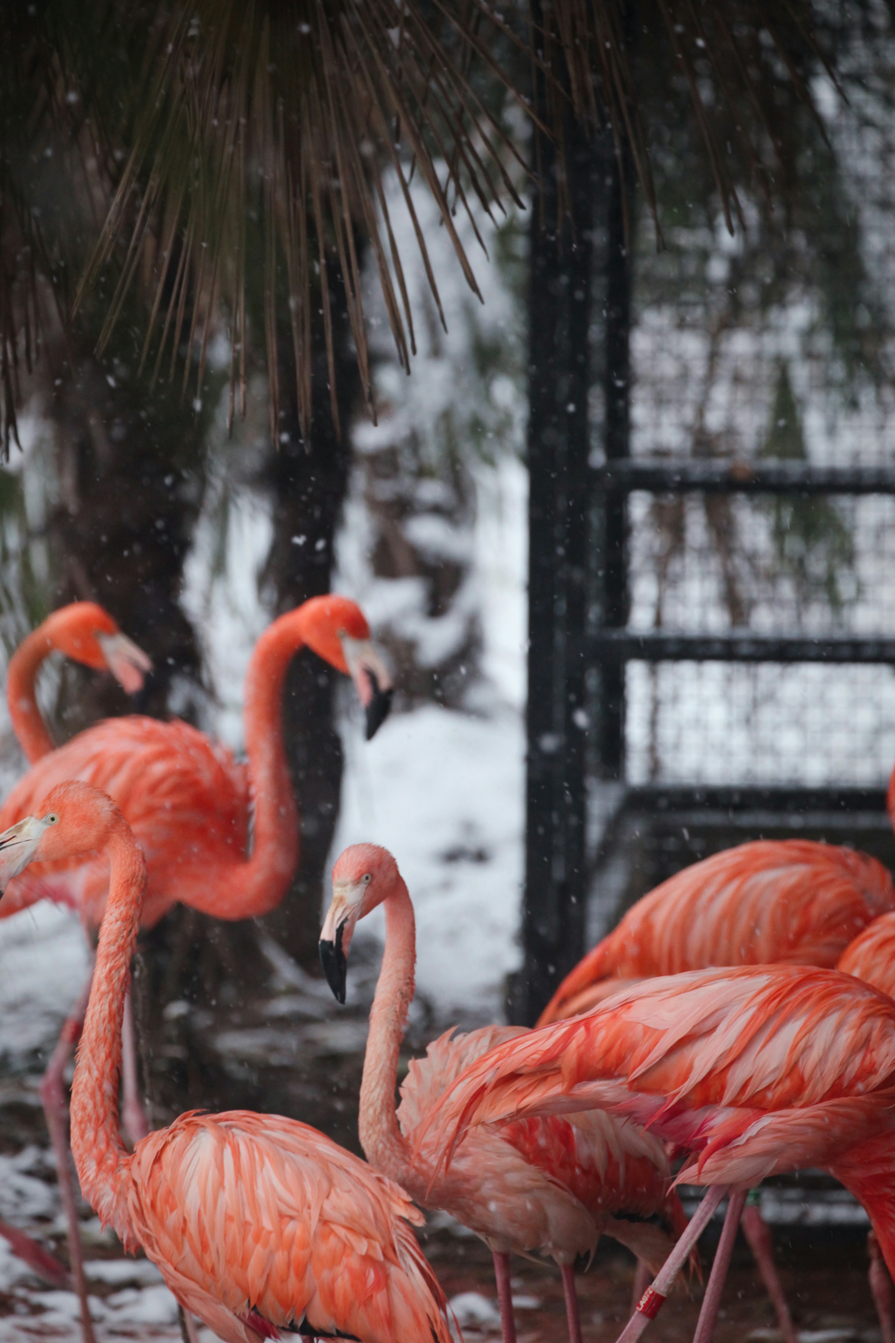 Photo by littlelittle