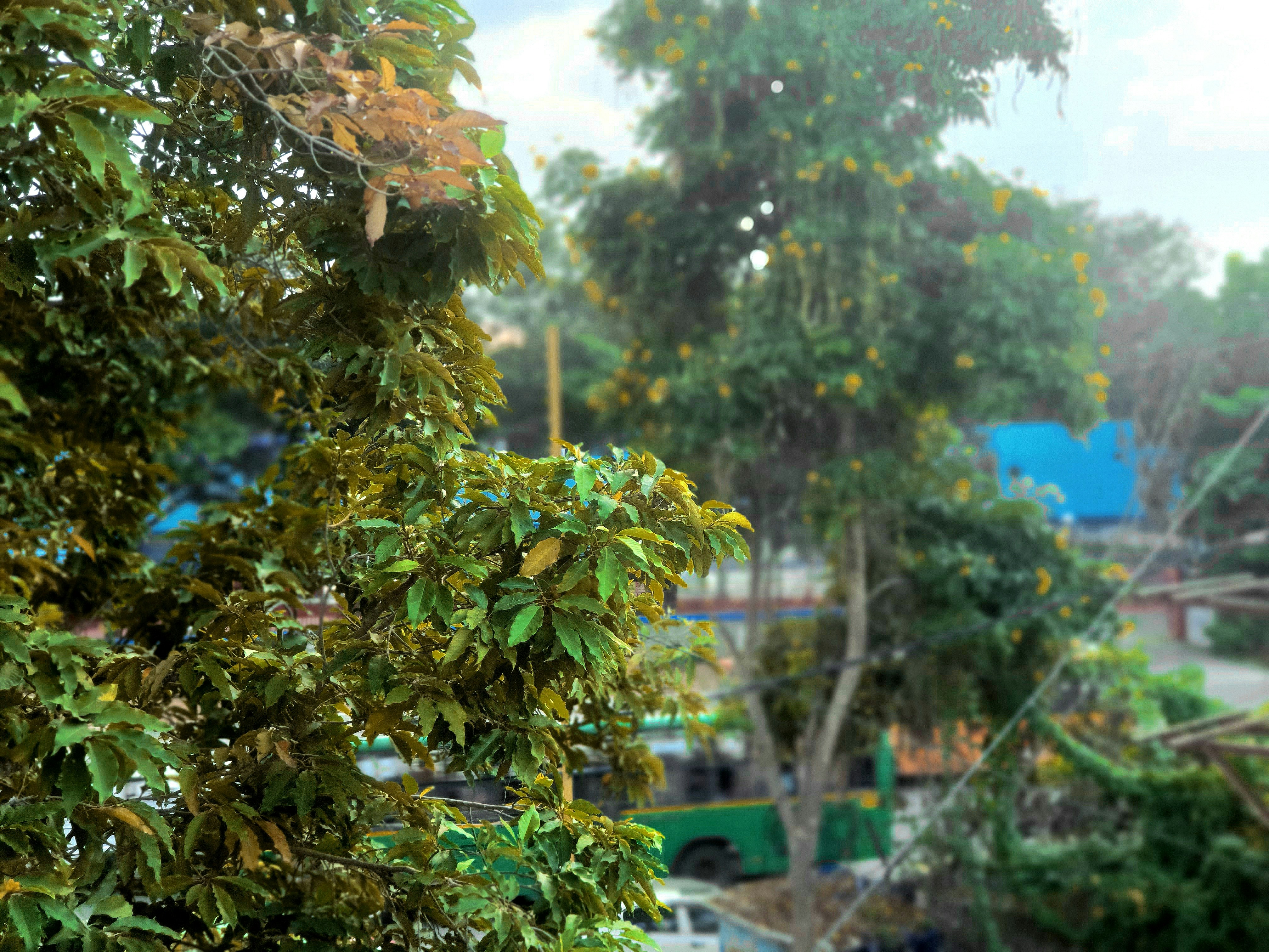 Photo by 5zantrigger