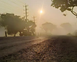 A misty coastal road at dawn with soft natural light filtering through fog.