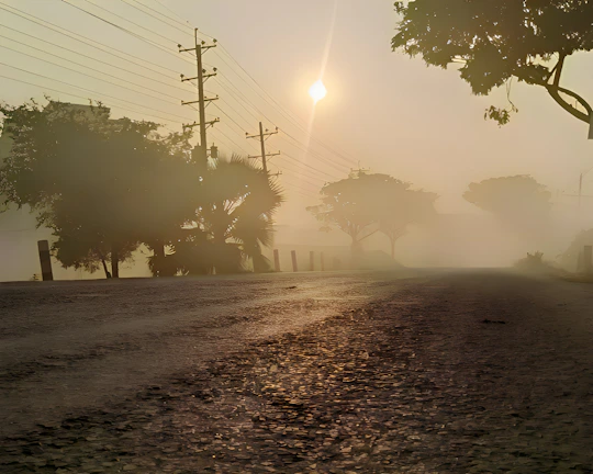 A misty coastal road at dawn with soft natural light filtering through fog.