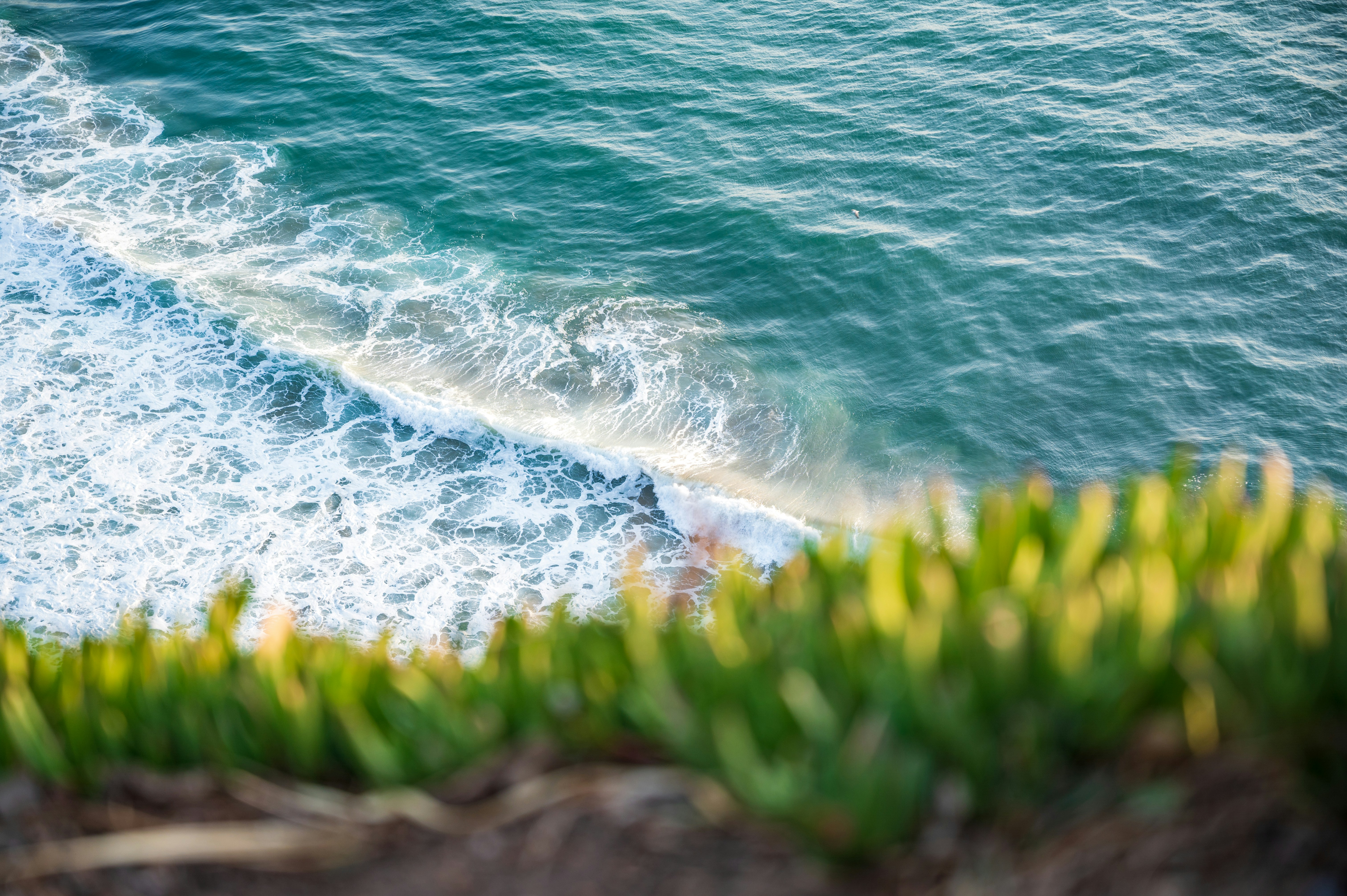 a view of a body of water from above