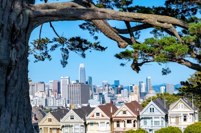 A scenic cityscape featuring a row of Victorian-style houses in the foreground, commonly known as the Painted Ladies, with a large tree branch arching above. In the background, a modern skyline with tall skyscrapers stands under a clear blue sky.