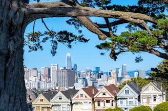 A scenic cityscape featuring a row of Victorian-style houses in the foreground, commonly known as the Painted Ladies, with a large tree branch arching above. In the background, a modern skyline with tall skyscrapers stands under a clear blue sky.