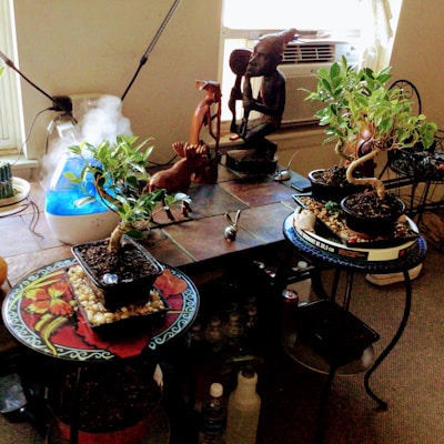 The scene depicts a tabletop with various items arranged on it. There are small potted bonsai trees displayed in decorative trays, surrounded by pebbles. A humidifier emits steam, contributing to a calm and serene atmosphere. Near the trees, several wooden sculptures of figures and animals, possibly African in style, adorn the table. The setting appears to be indoors, with a window and an air conditioning unit visible in the background.