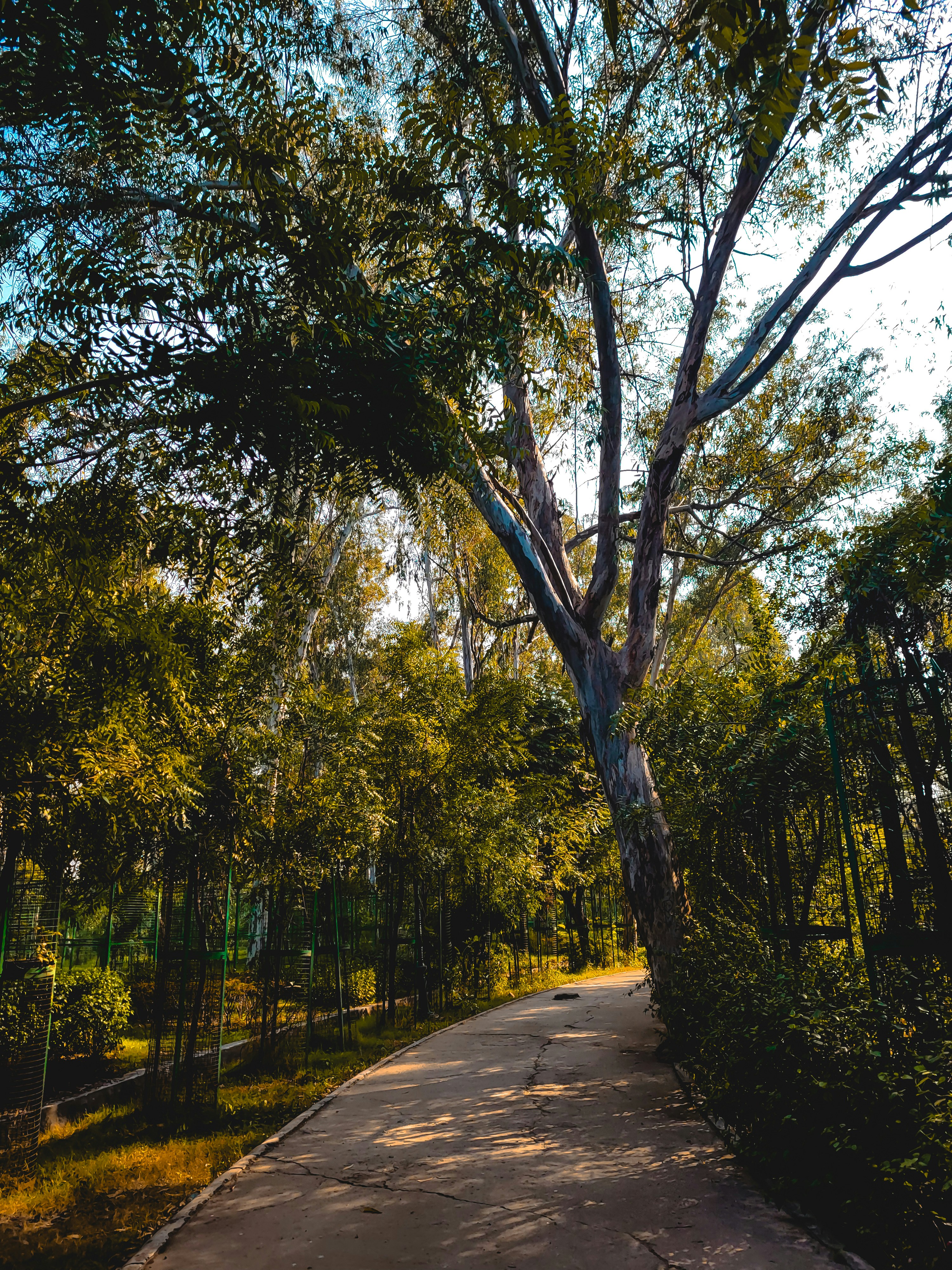 Photo by being_creation