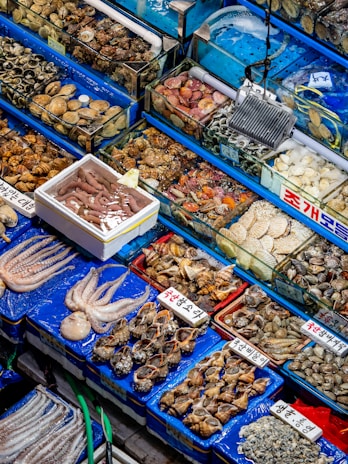 An assortment of seafood is displayed in a market setting. Various types of shellfish, octopus, and other sea creatures are organized in blue trays, with labels written in Korean. The seafood is fresh, with some items stored over ice or in shallow water.
