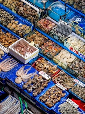 An assortment of seafood is displayed in a market setting. Various types of shellfish, octopus, and other sea creatures are organized in blue trays, with labels written in Korean. The seafood is fresh, with some items stored over ice or in shallow water.