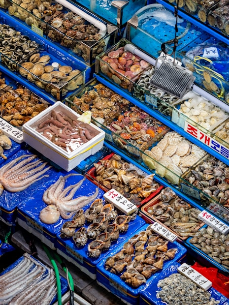 An assortment of seafood is displayed in a market setting. Various types of shellfish, octopus, and other sea creatures are organized in blue trays, with labels written in Korean. The seafood is fresh, with some items stored over ice or in shallow water.