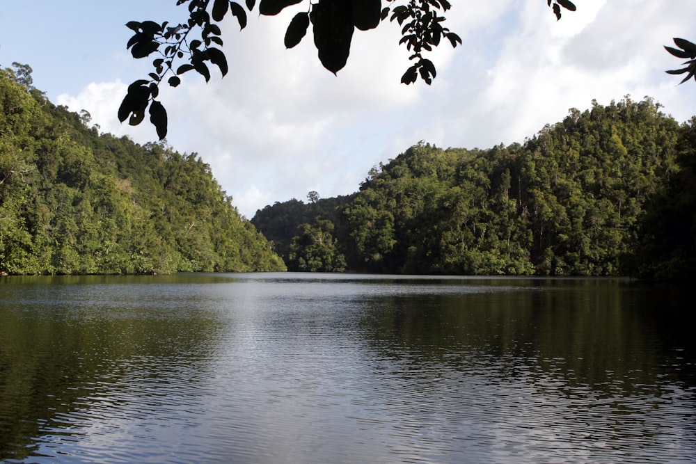 a large body of water surrounded by trees