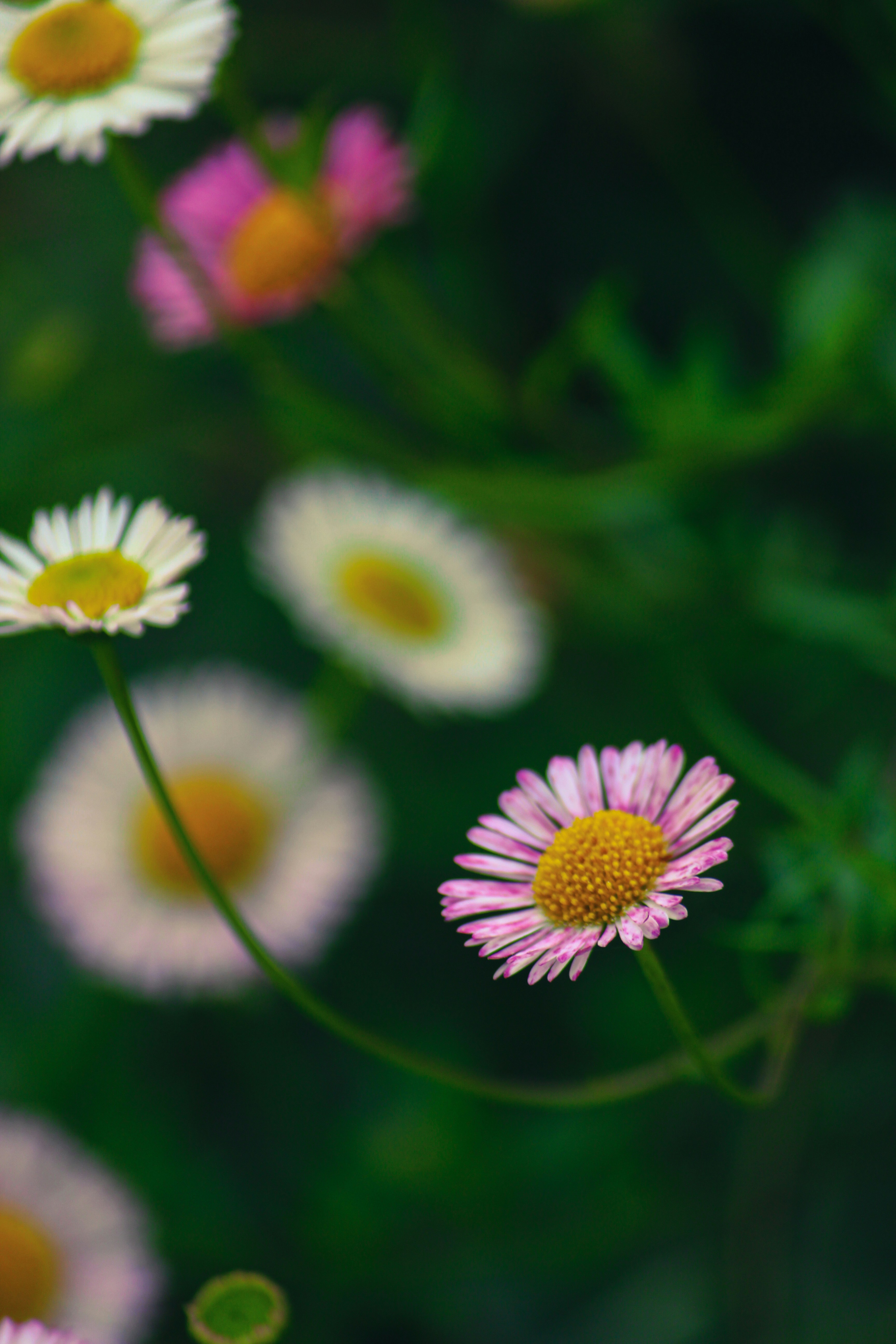 Photo by jabezjeyaraj