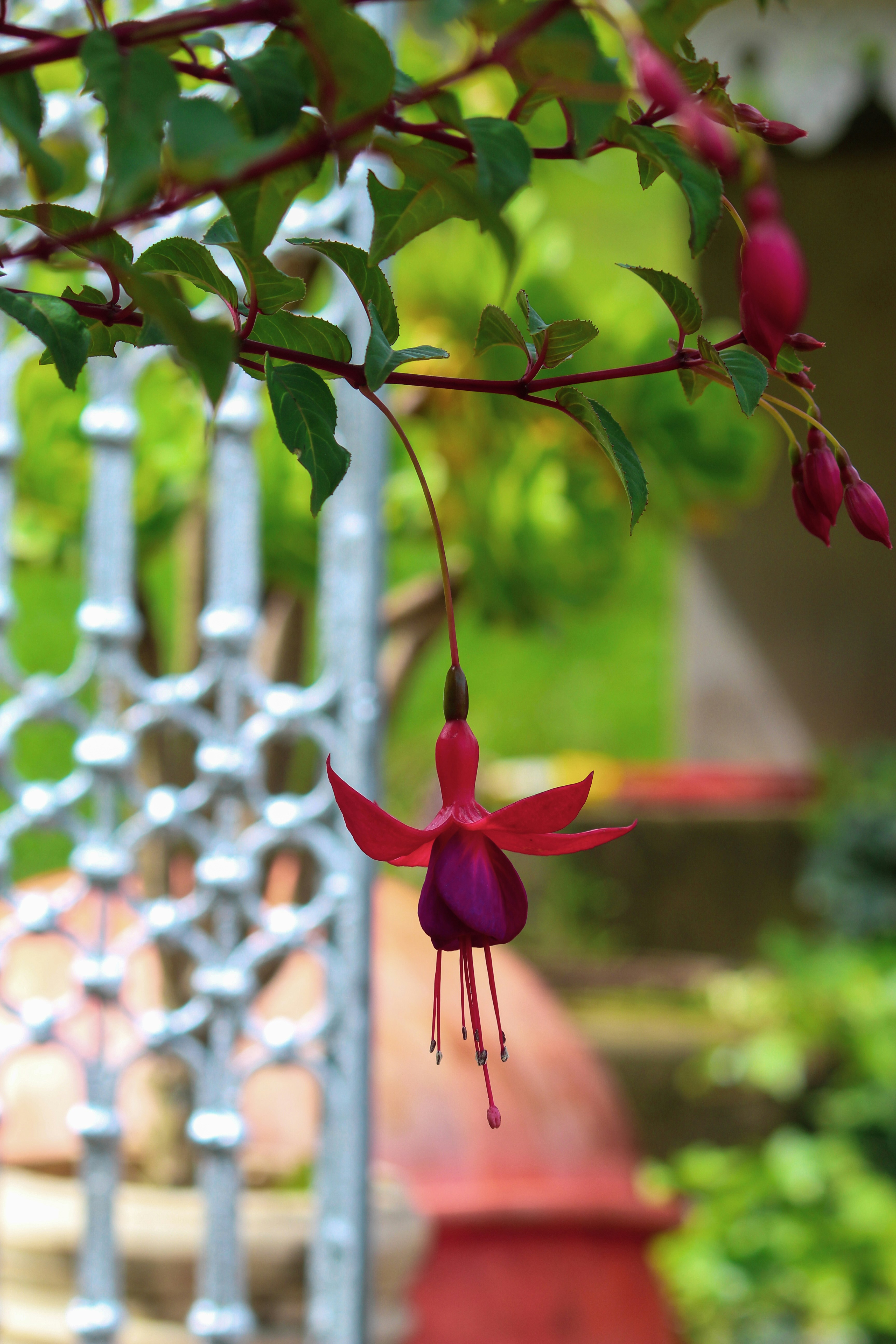 Photo by jabezjeyaraj