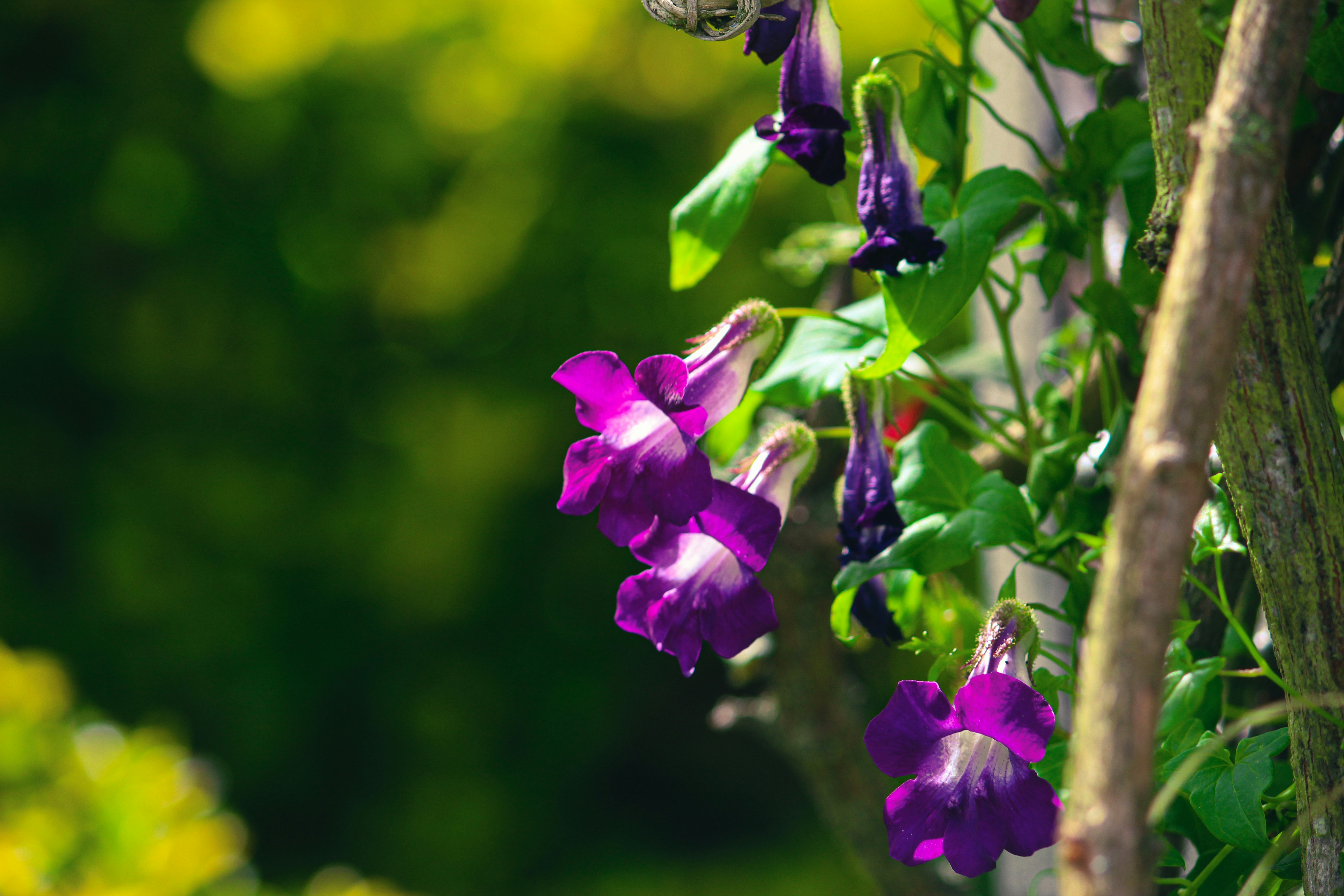 Photo by jabezjeyaraj