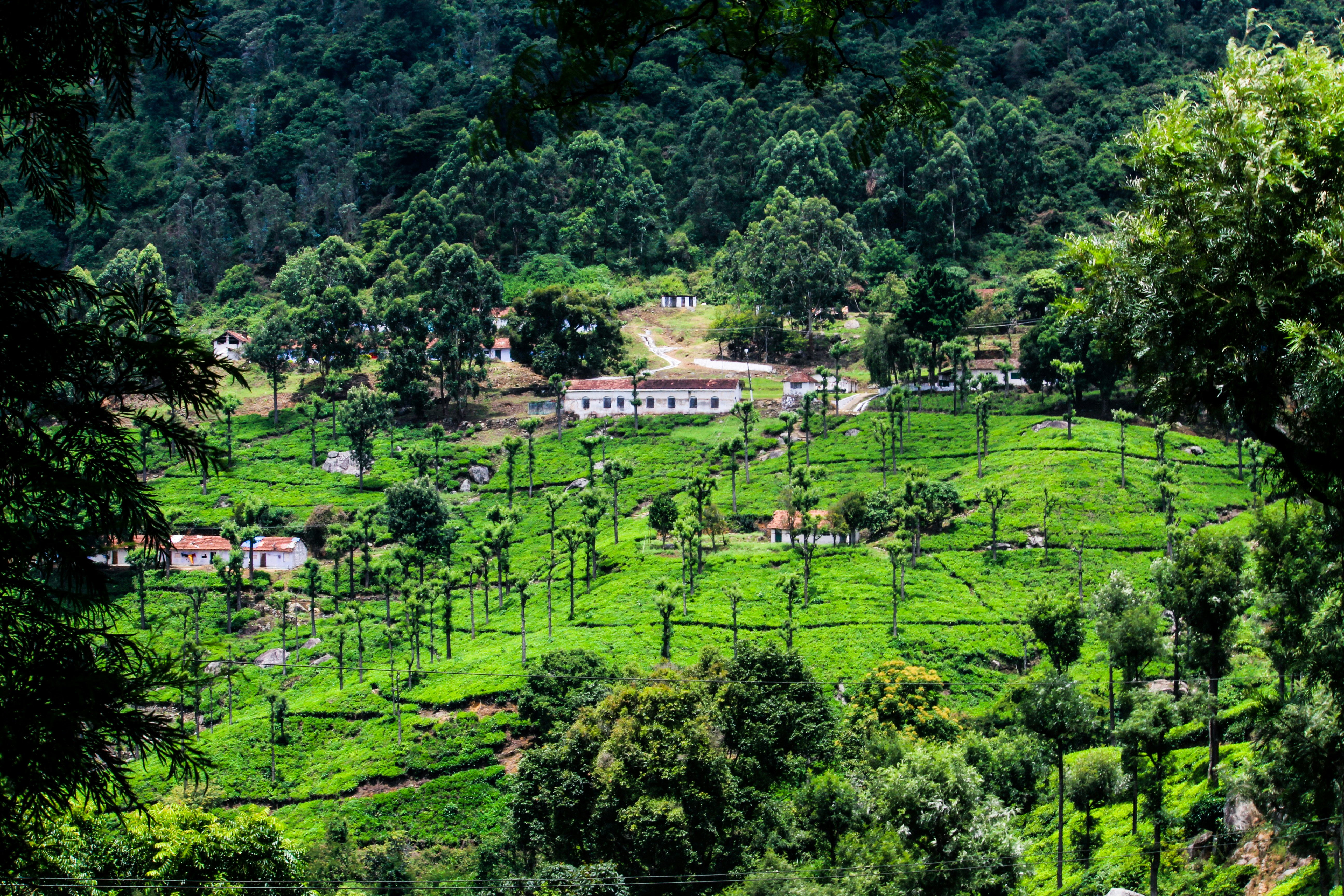 Photo by jabezjeyaraj