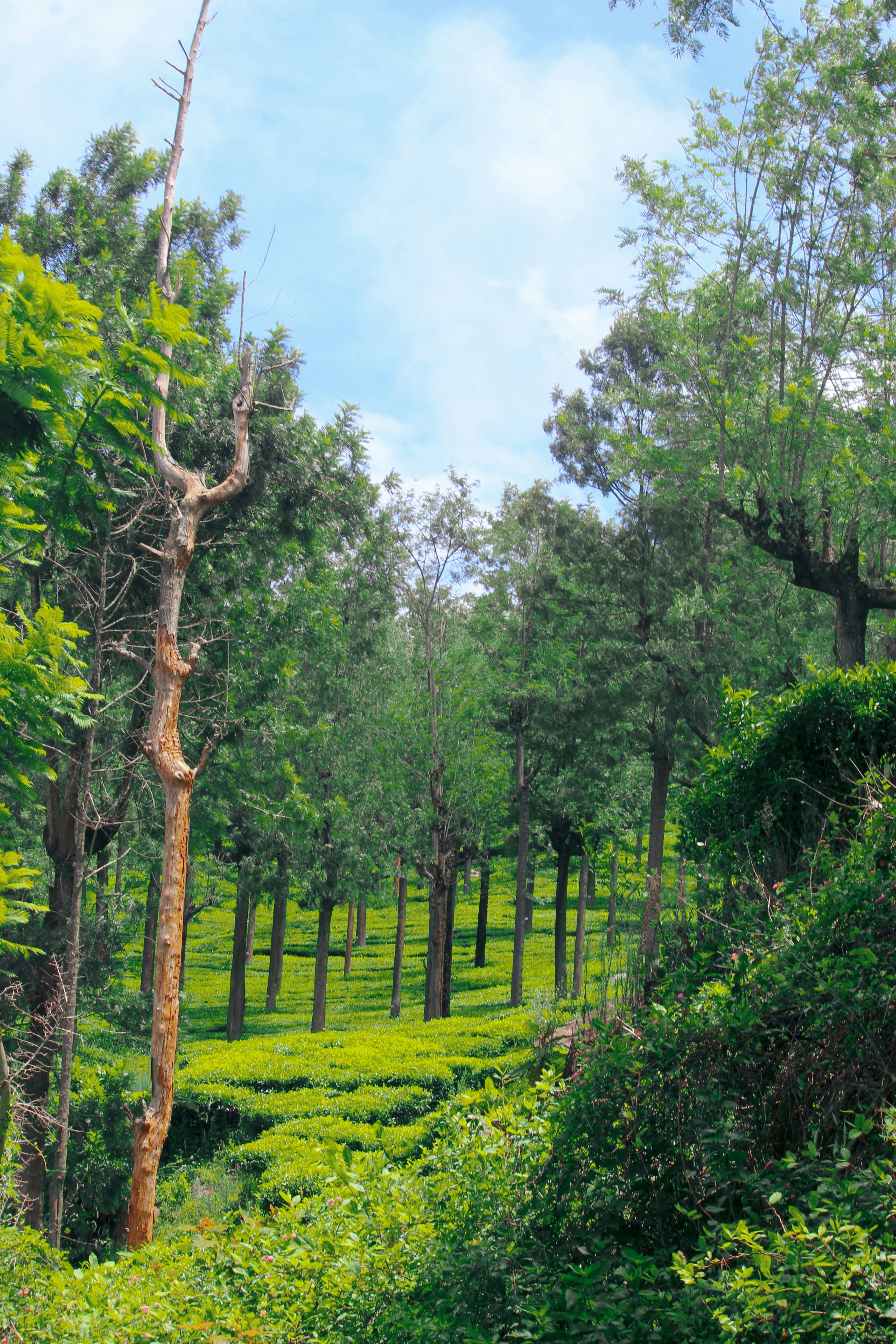 Photo by jabezjeyaraj