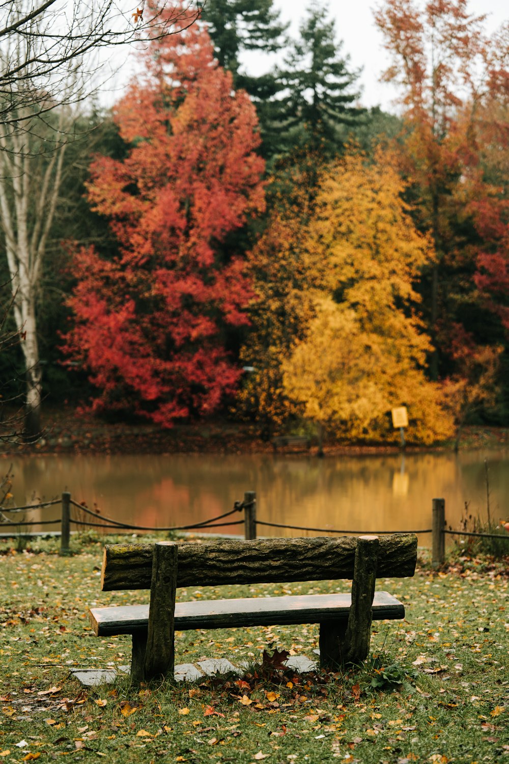 a wooden bench sitting on top of a lush green field