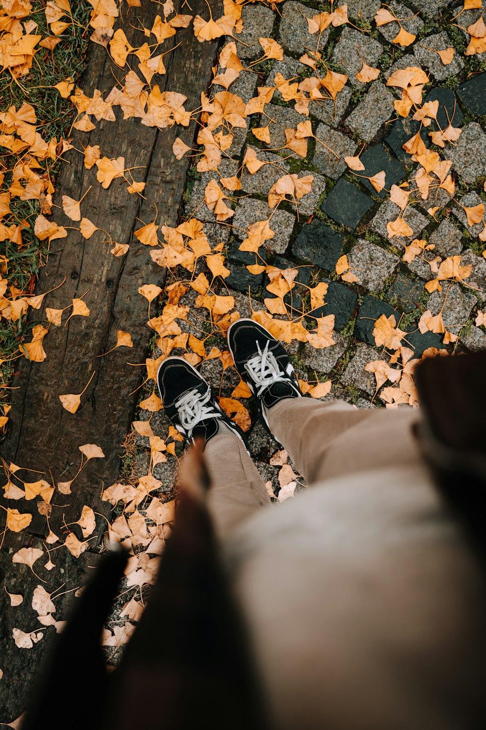 a person wearing black shoes standing on a leaf covered sidewalk