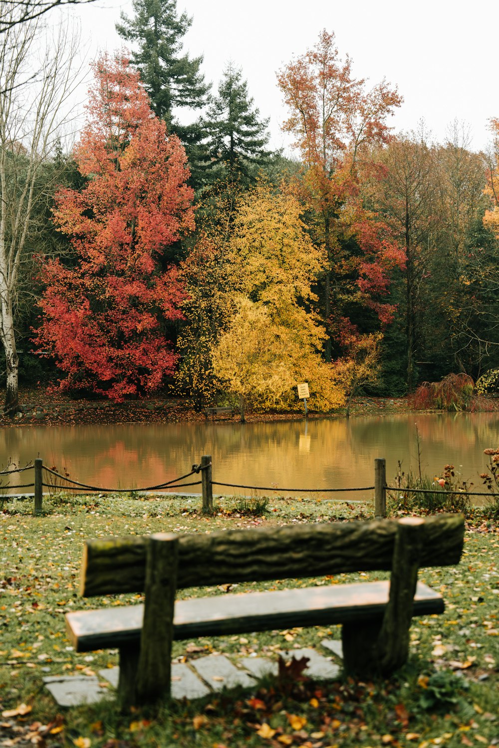 um banco de madeira sentado em frente a um lago