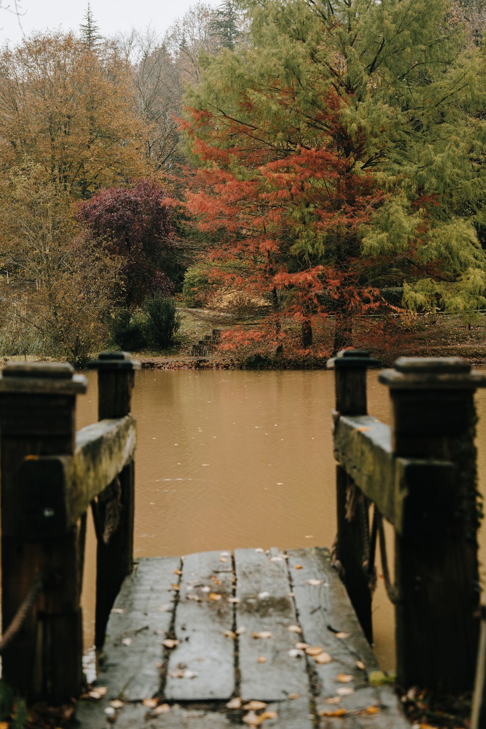 un pont en bois au-dessus d’un plan d’eau