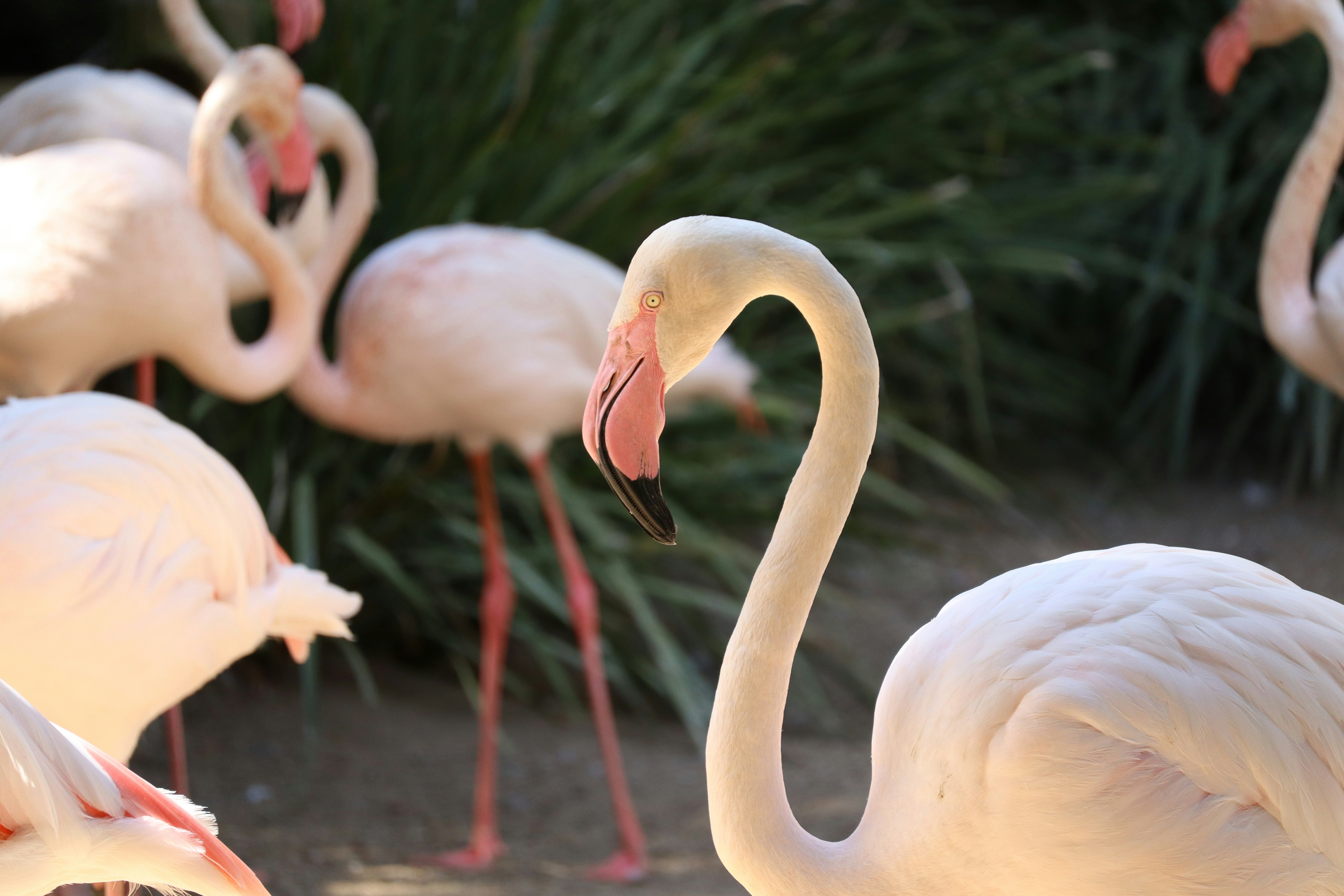 Photo by johnnygthorpe11