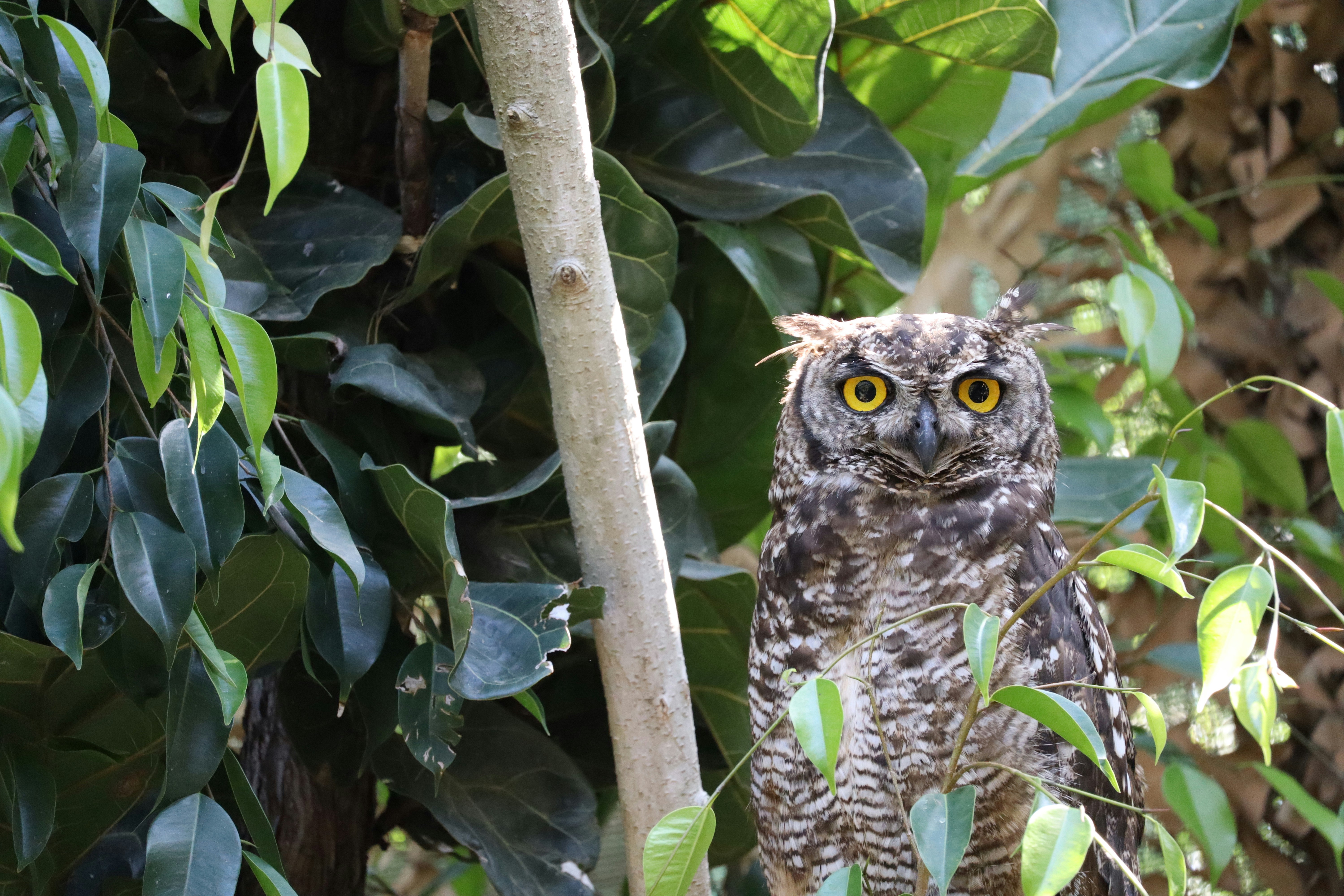 Photo by johnnygthorpe11