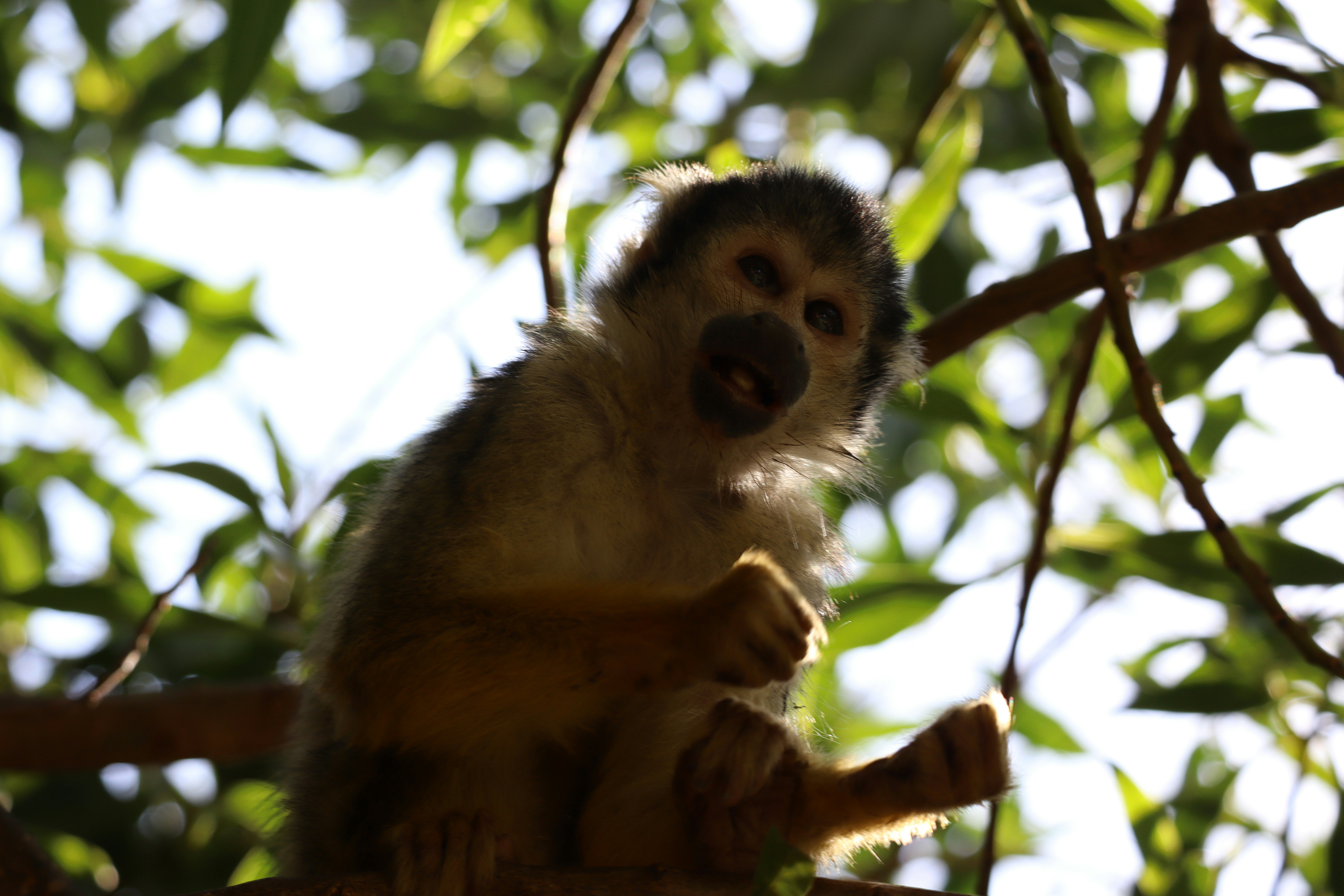 Photo by johnnygthorpe11