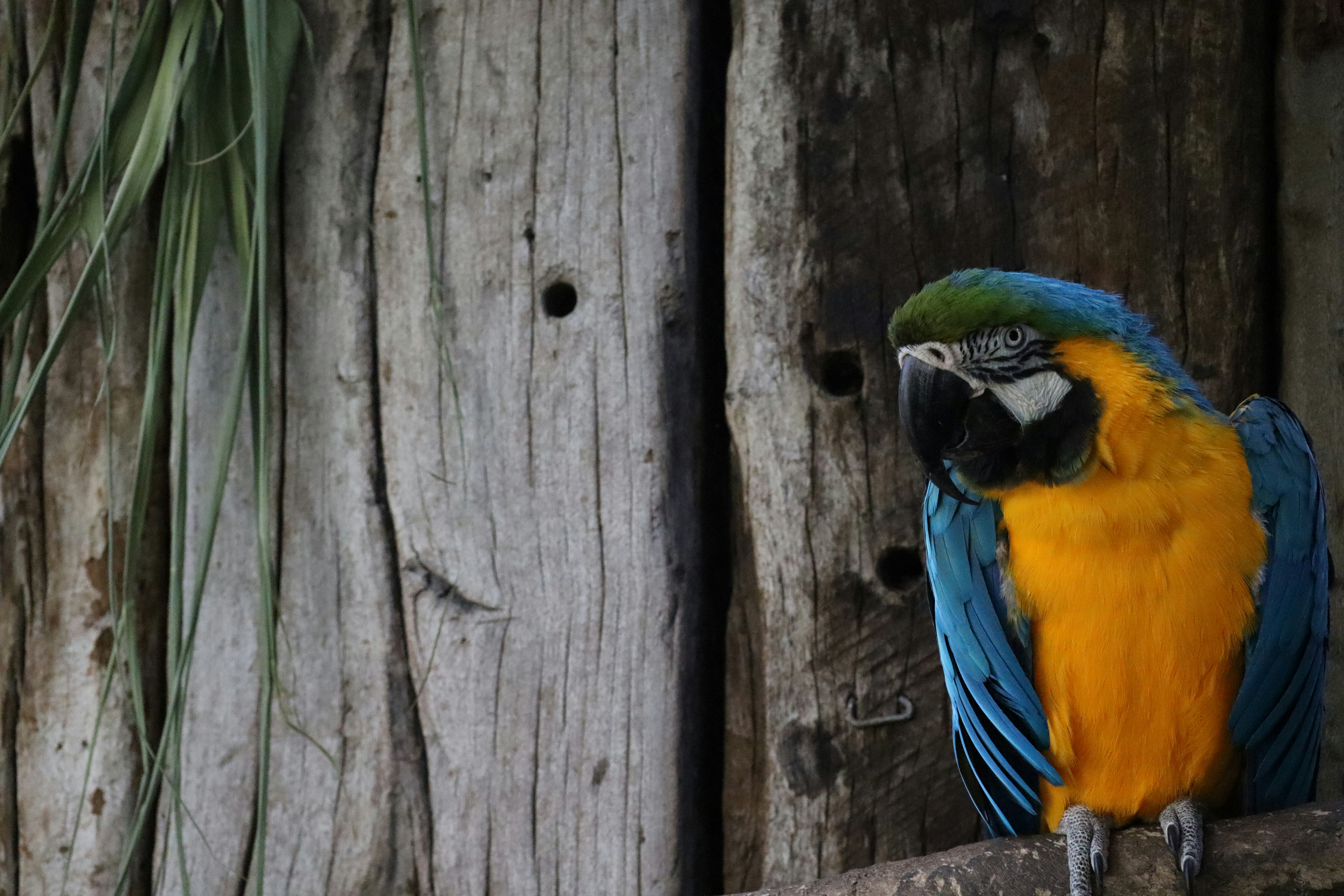 Photo by johnnygthorpe11