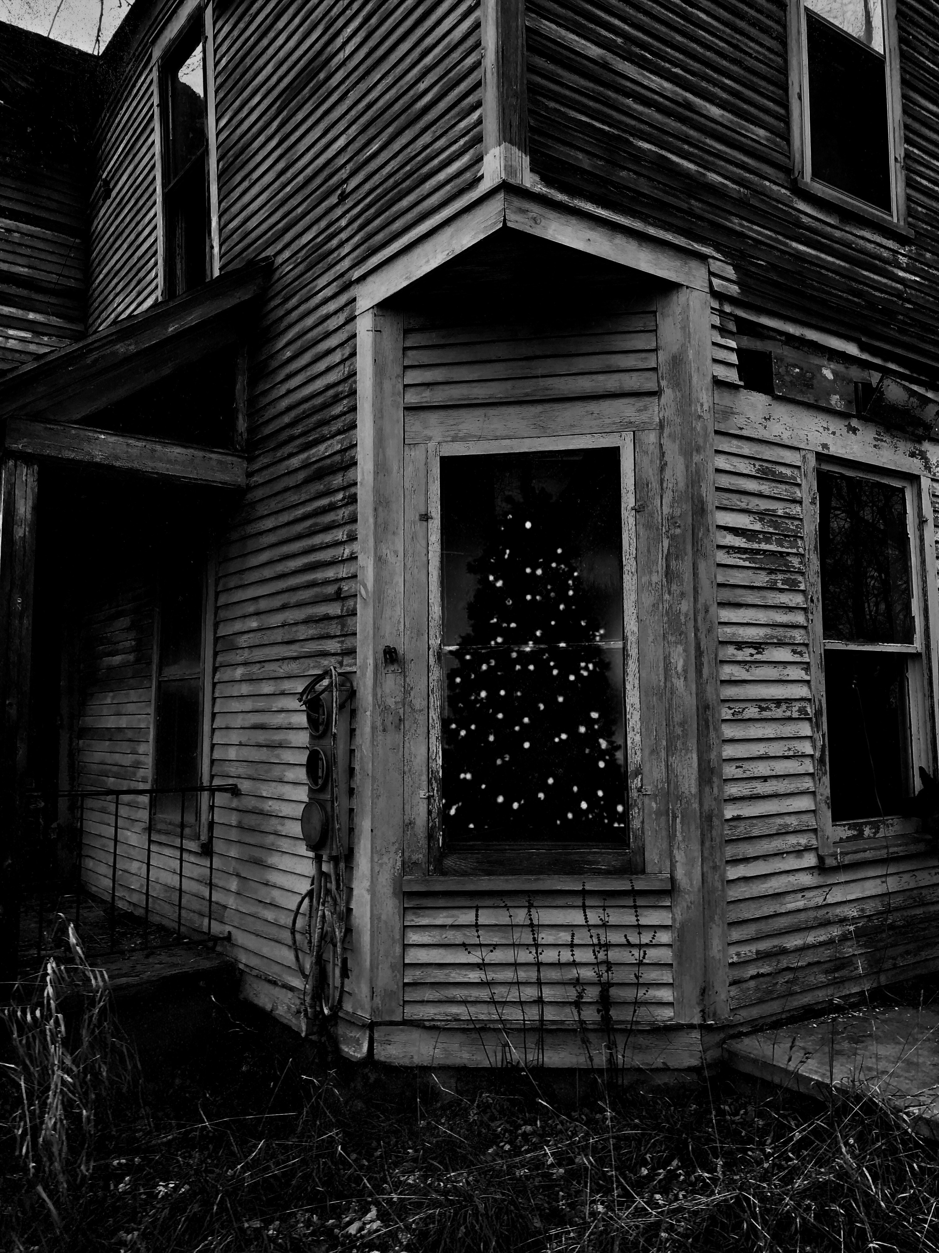 a black and white photo of a house with a christmas tree in the window