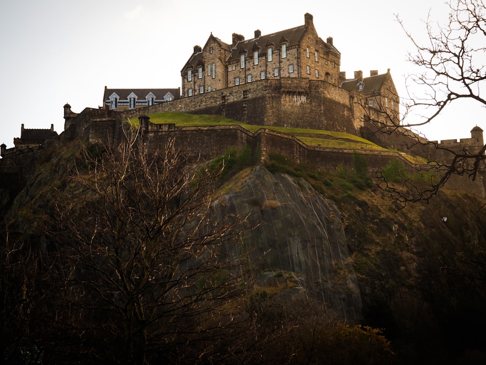 a castle on top of a hill with a tree in front of it