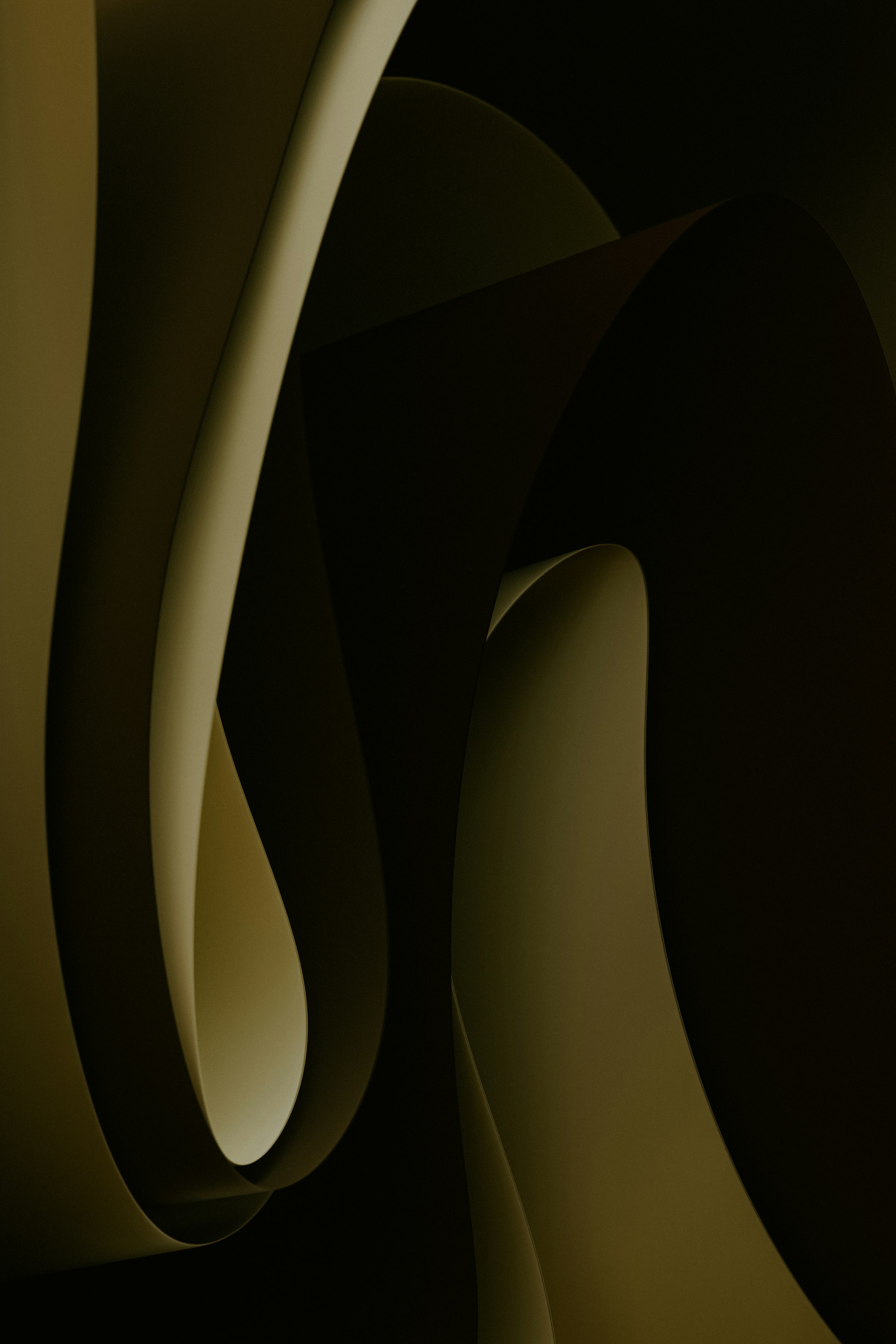 a black and white photo of a curved object