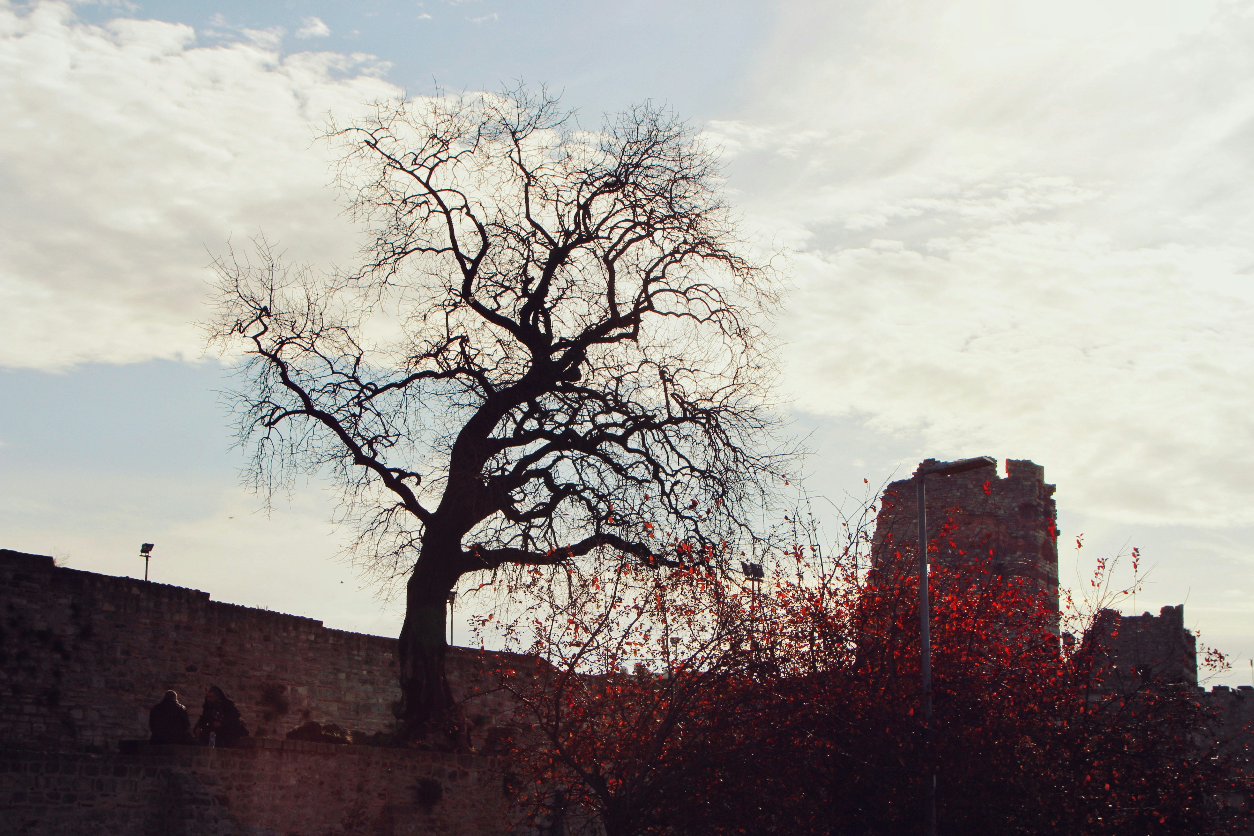 Photo by parastoo_gh