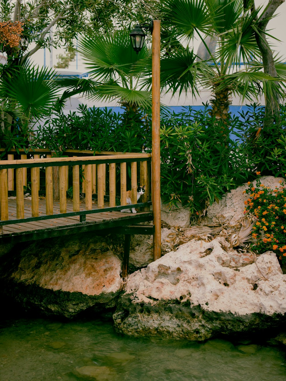 a wooden bridge over a river next to a lush green forest